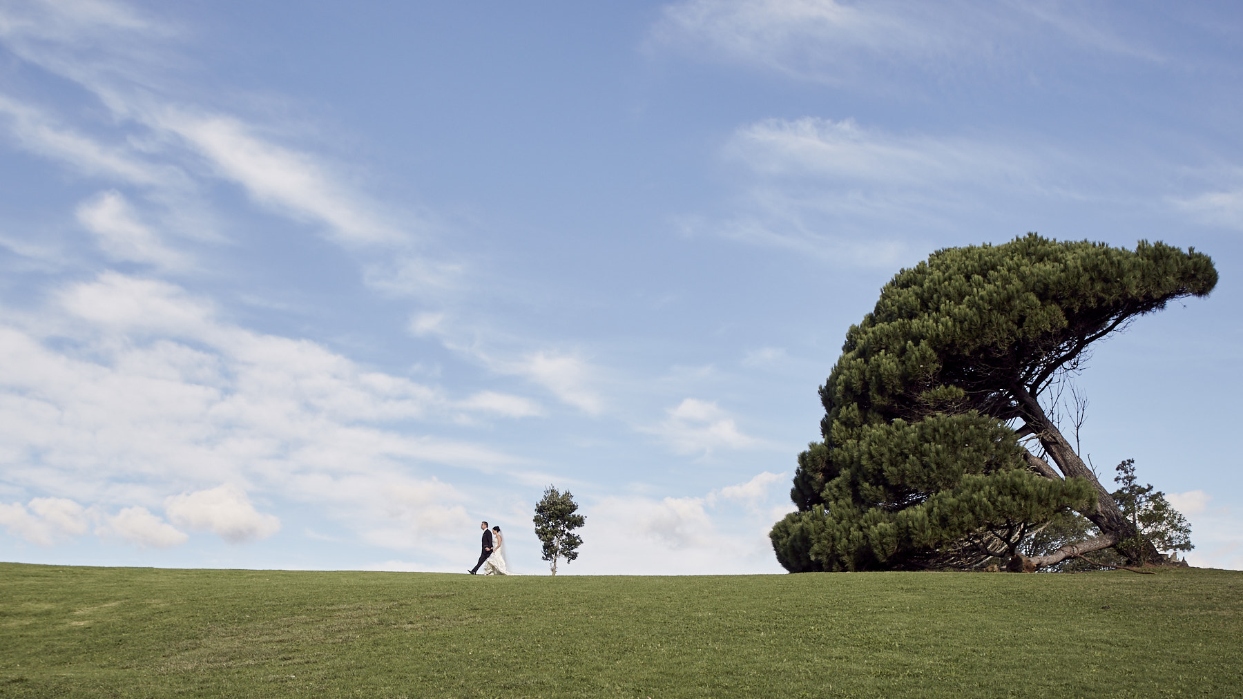 Canon EOS 6D sample photo. A touch of dali on your wedding day photography