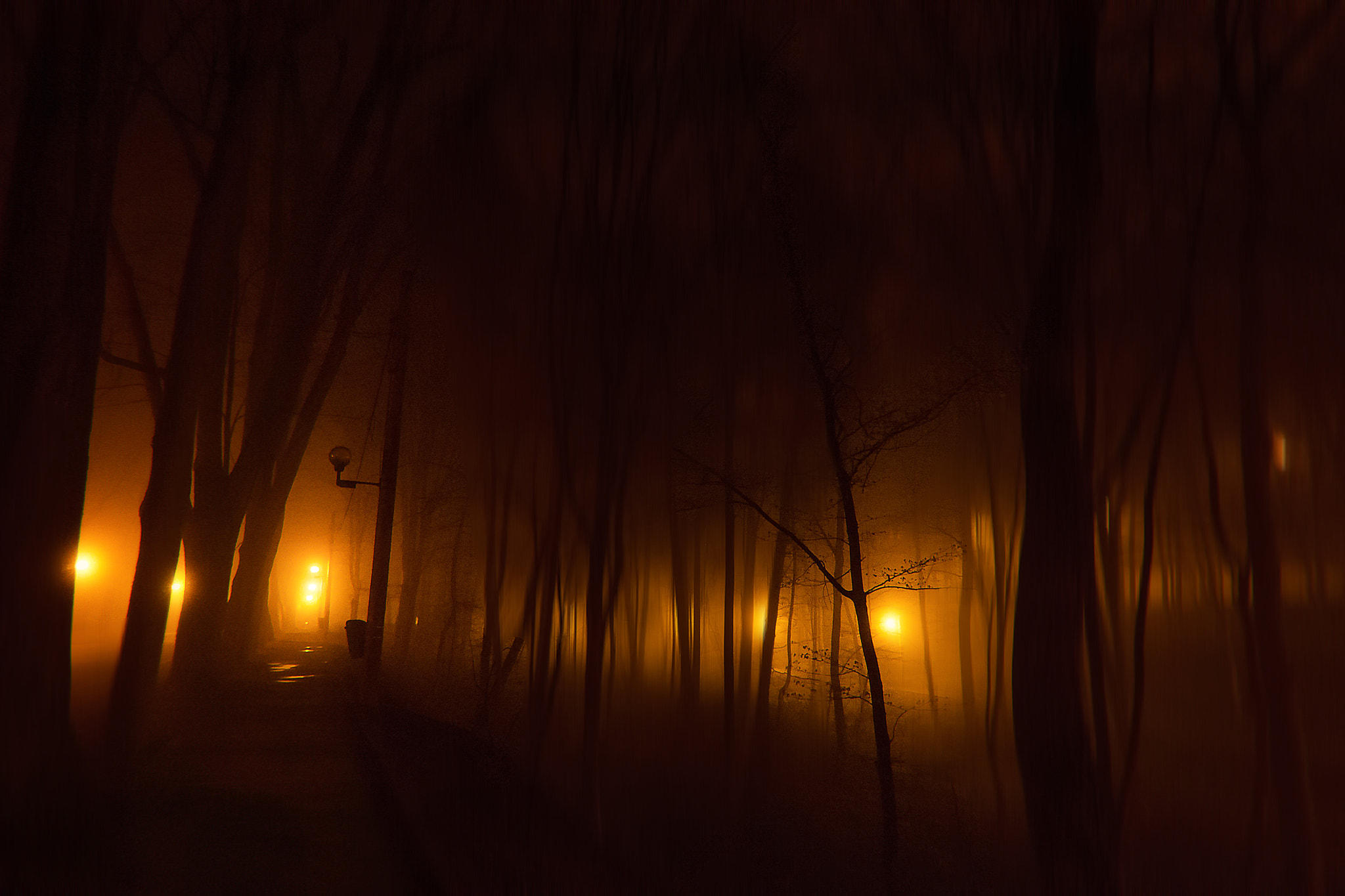 Nikon D7200 sample photo. All upon a foggy night photography