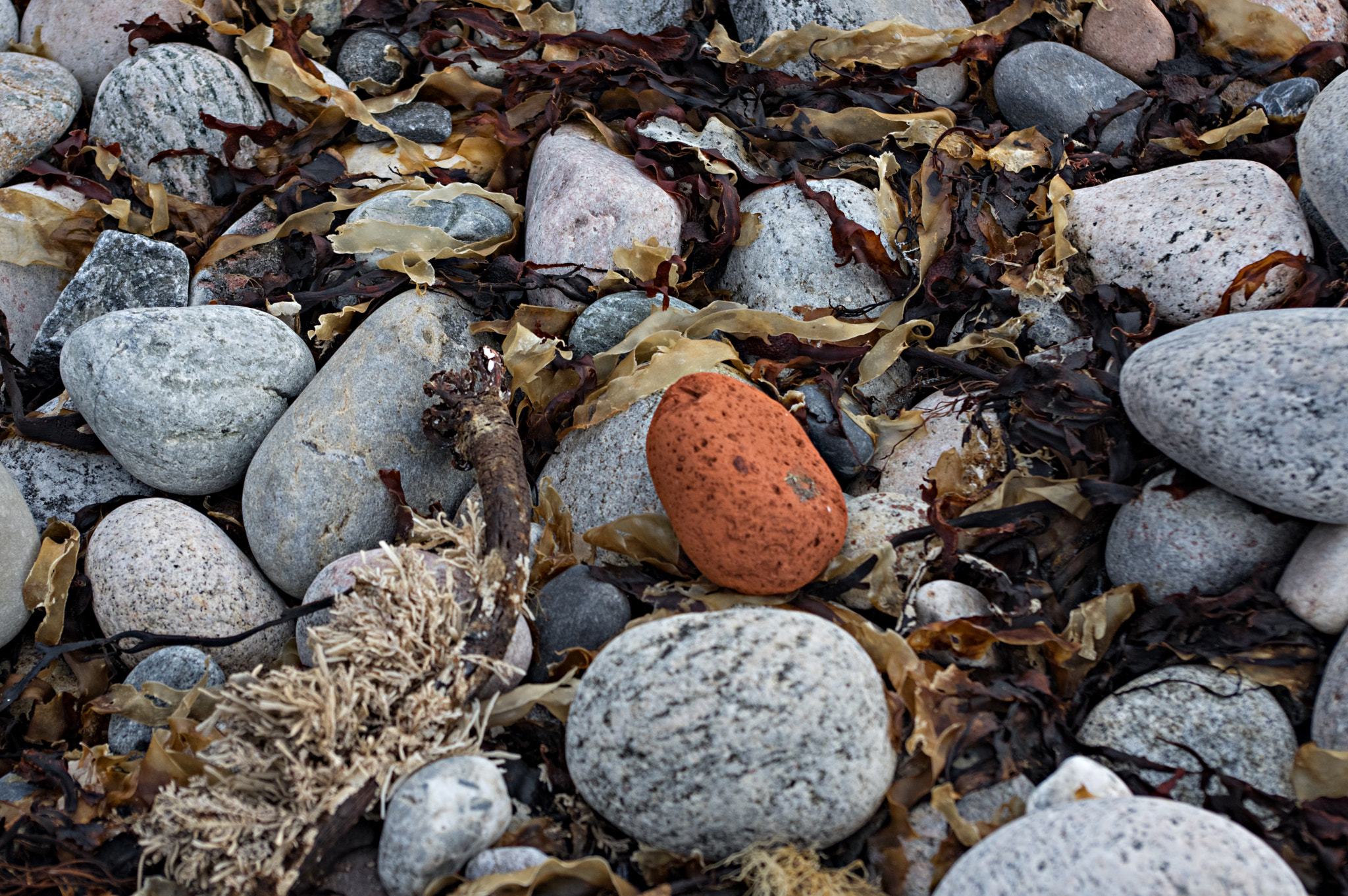 Pentax K-3 sample photo. Redrock photography