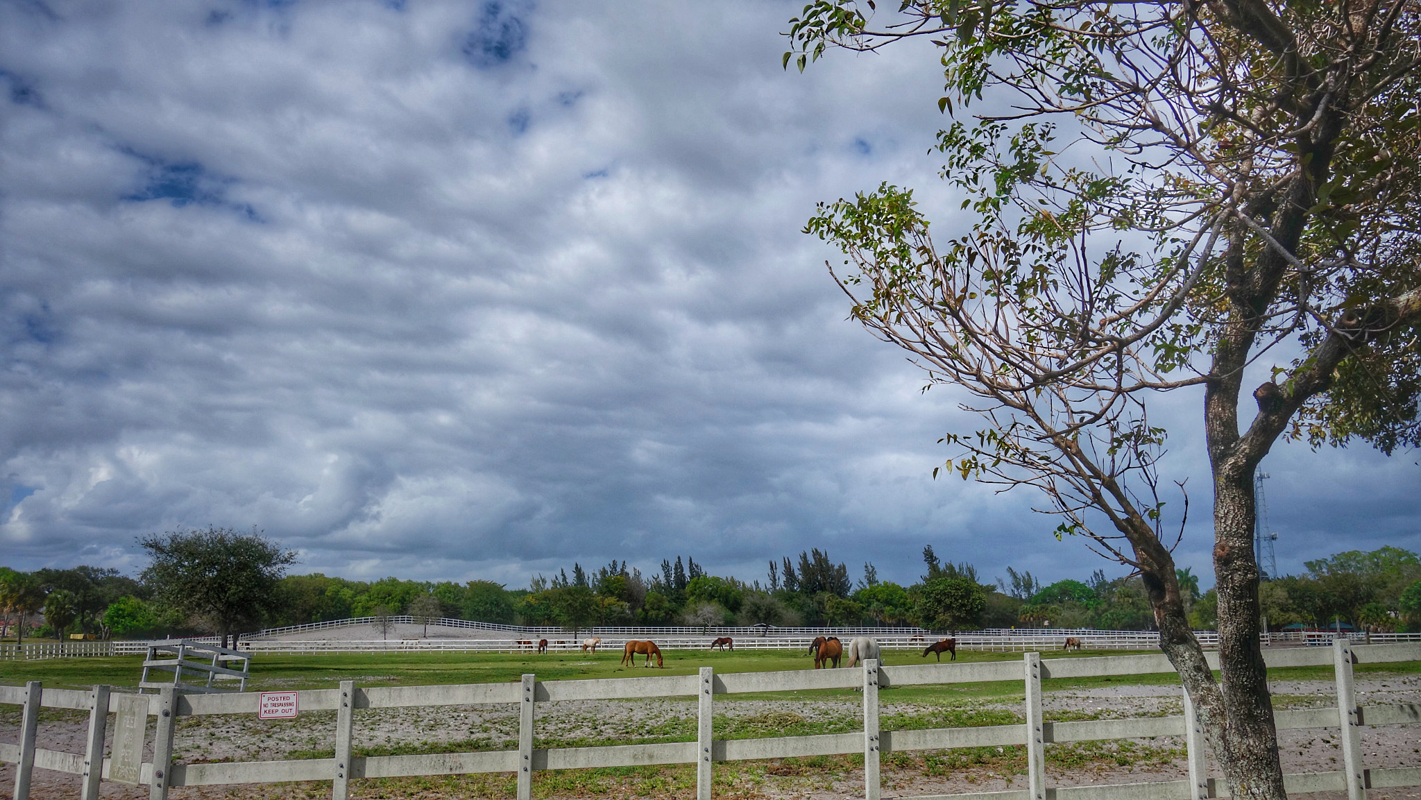 Sony Cyber-shot DSC-RX100 II + Sony 28-100mm F1.8-4.9 sample photo. Pasture photography