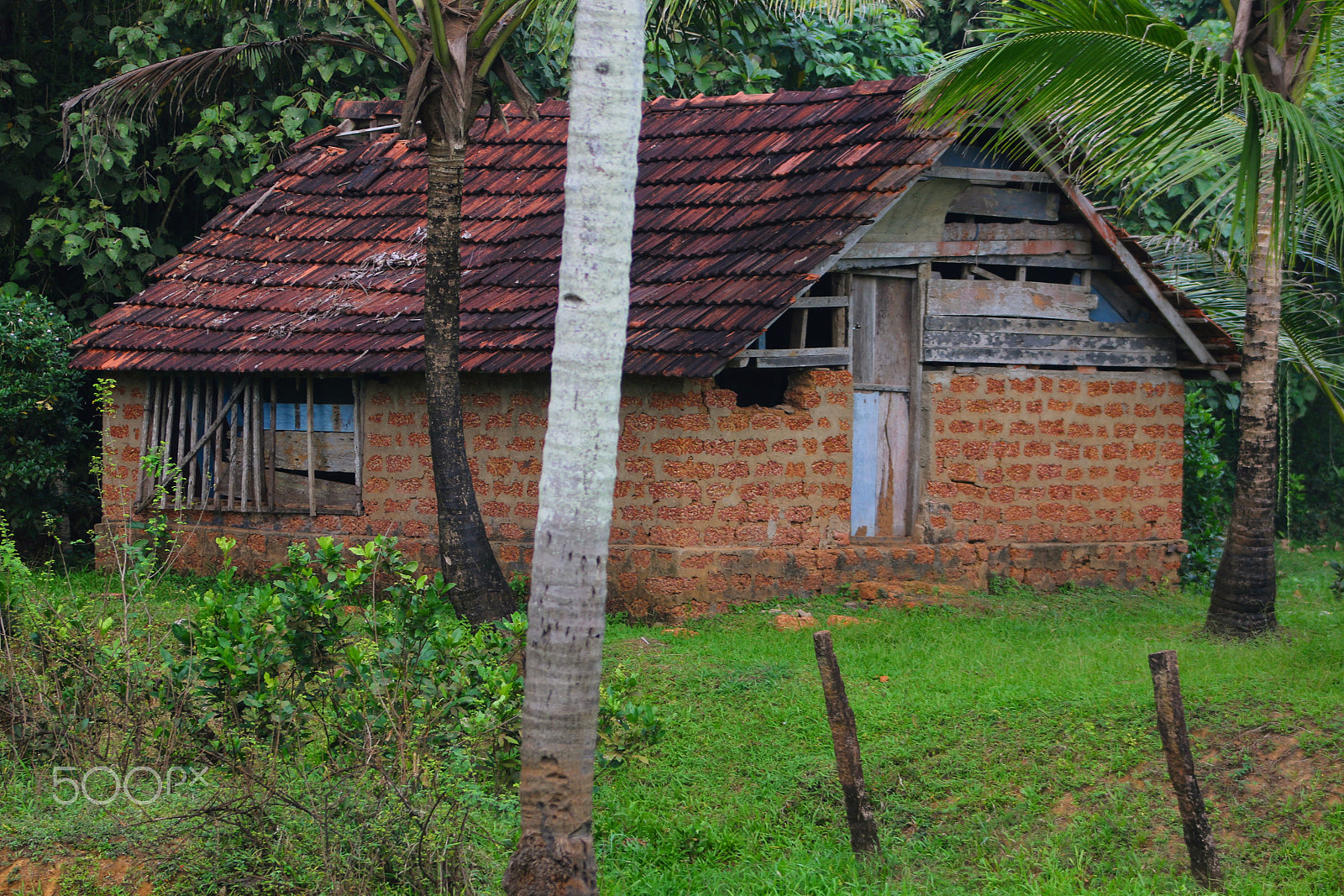 Canon EF 75-300mm f/4-5.6 USM sample photo. Small hut in green kerala photography