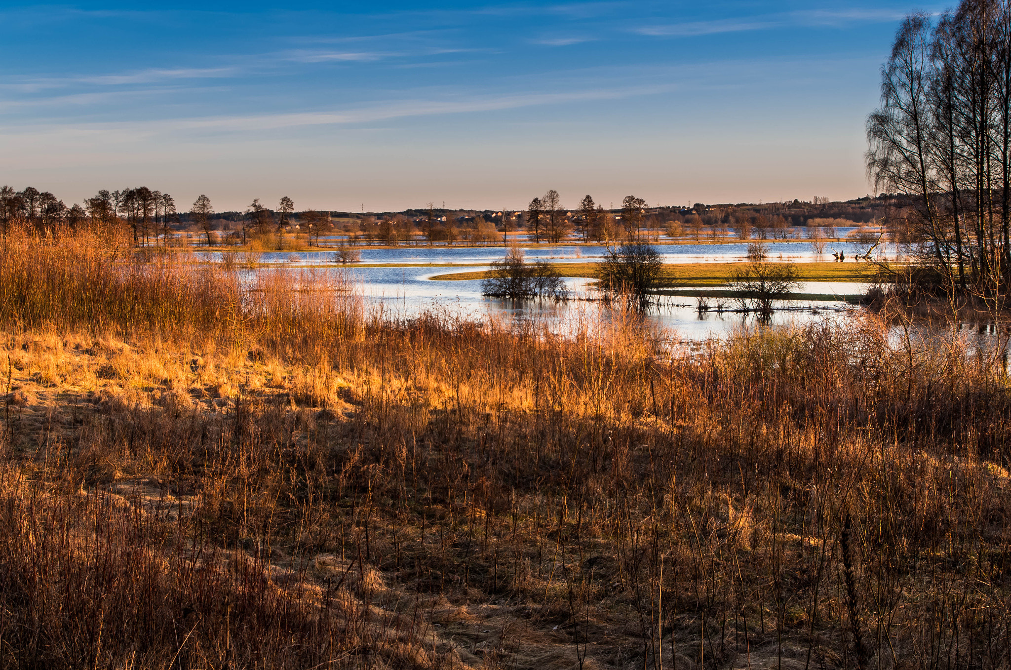 Pentax K-50 sample photo. The "narew" river valley photography