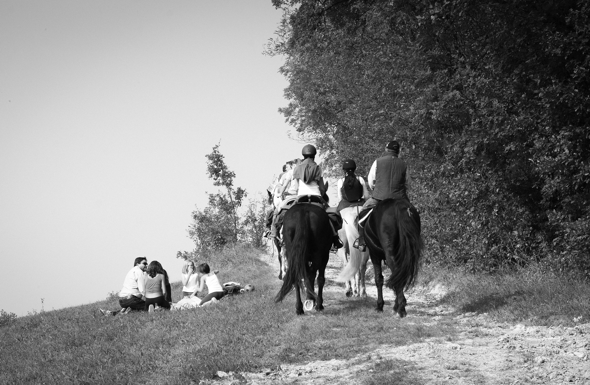 Fujifilm X-E2 sample photo. Picnic sul prato photography