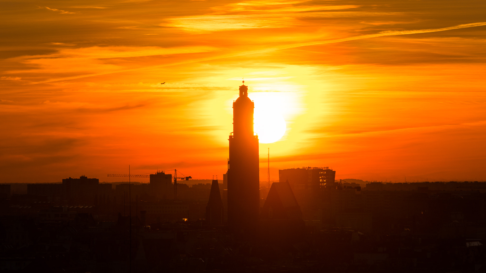 Sigma 70-200mm F2.8 EX DG OS HSM sample photo. Sunset silhouette photography