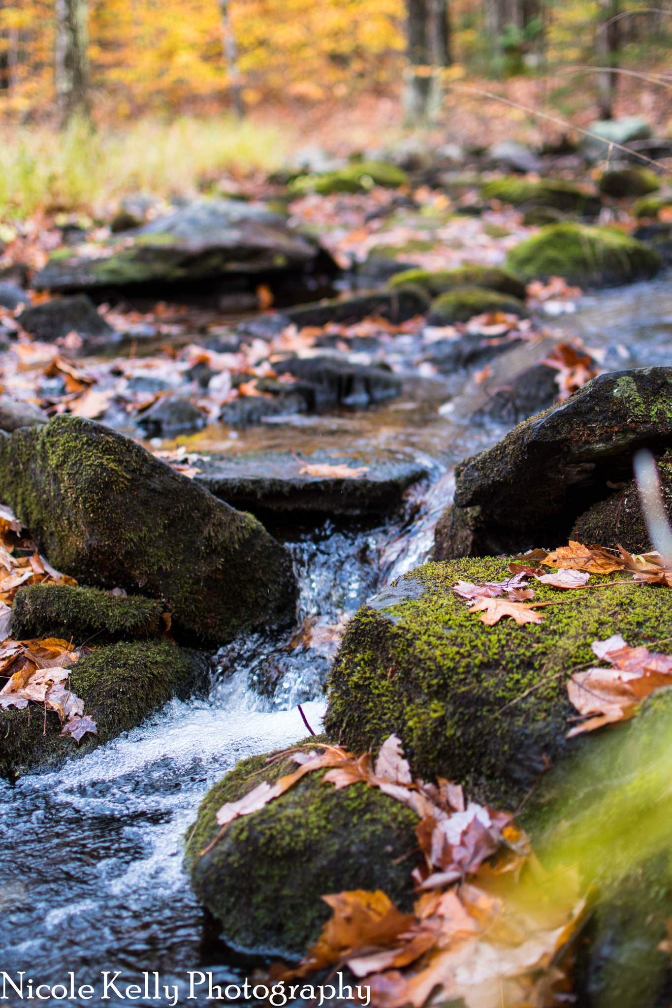 Nikon D5500 + Nikon AF-S DX Nikkor 35mm F1.8G sample photo. Dsc photography
