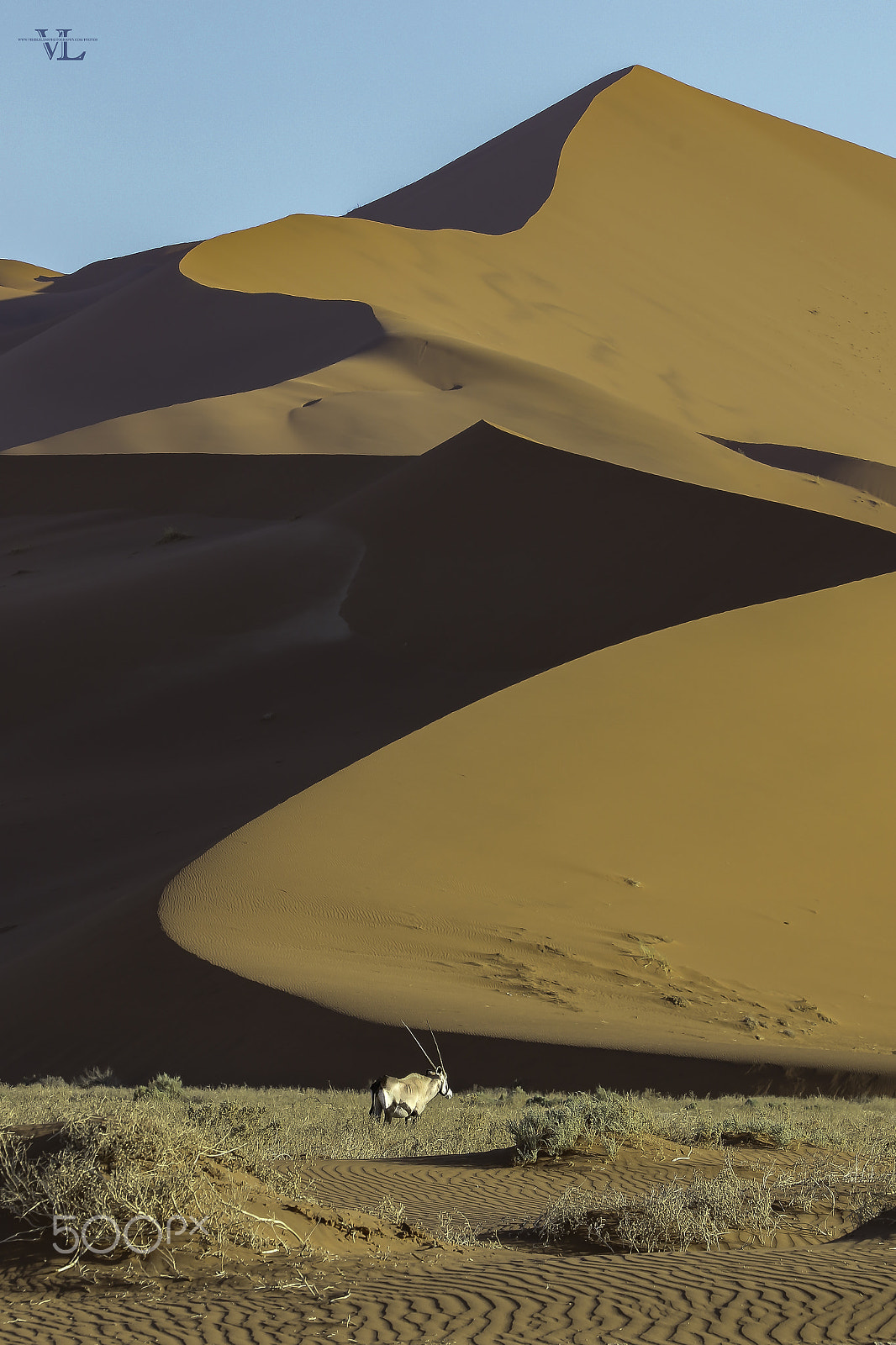 Canon EF 70-200mm F2.8L IS II USM sample photo. Oryx in the desert photography
