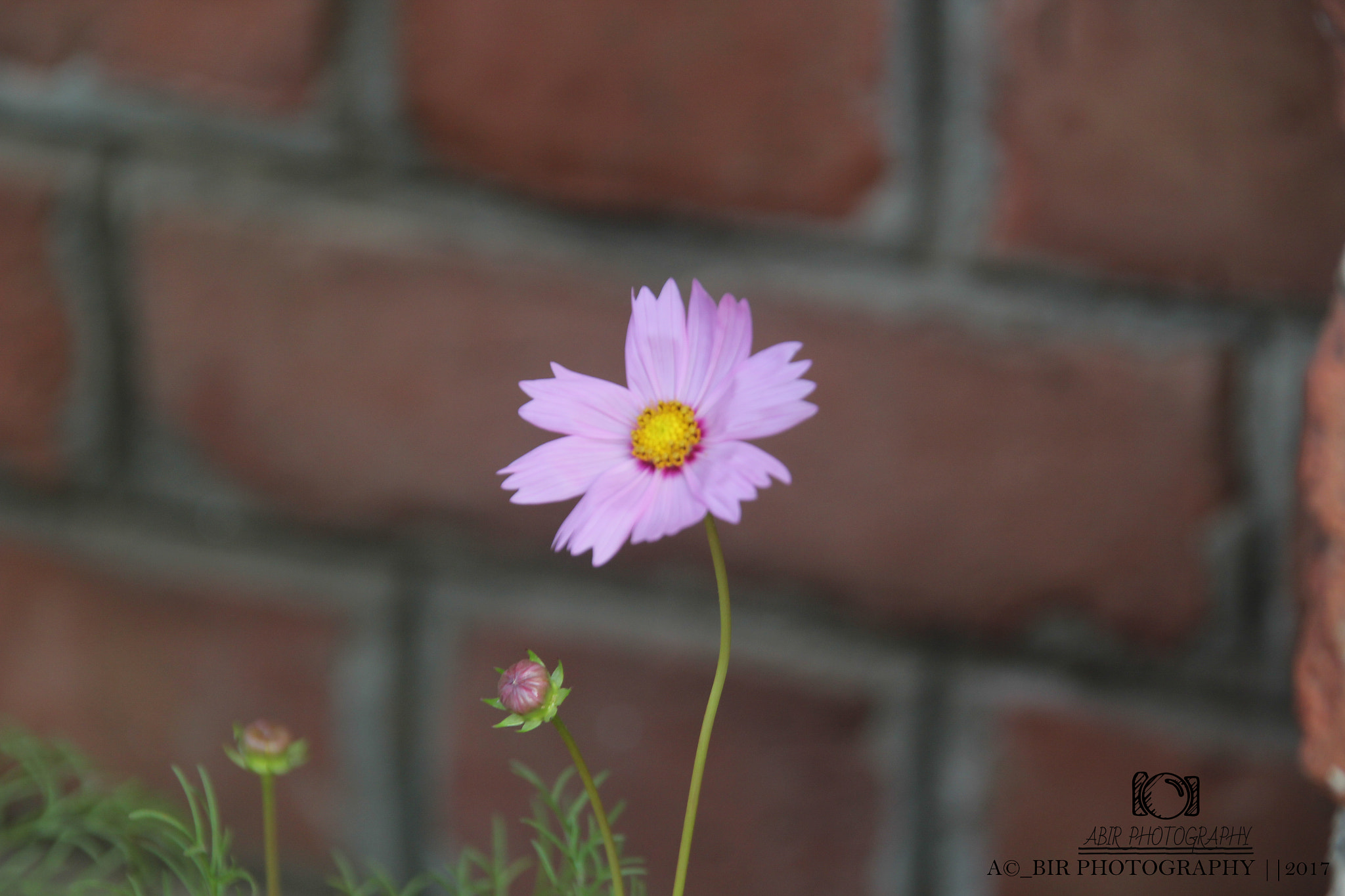 Sigma 18-200mm f/3.5-6.3 DC OS sample photo