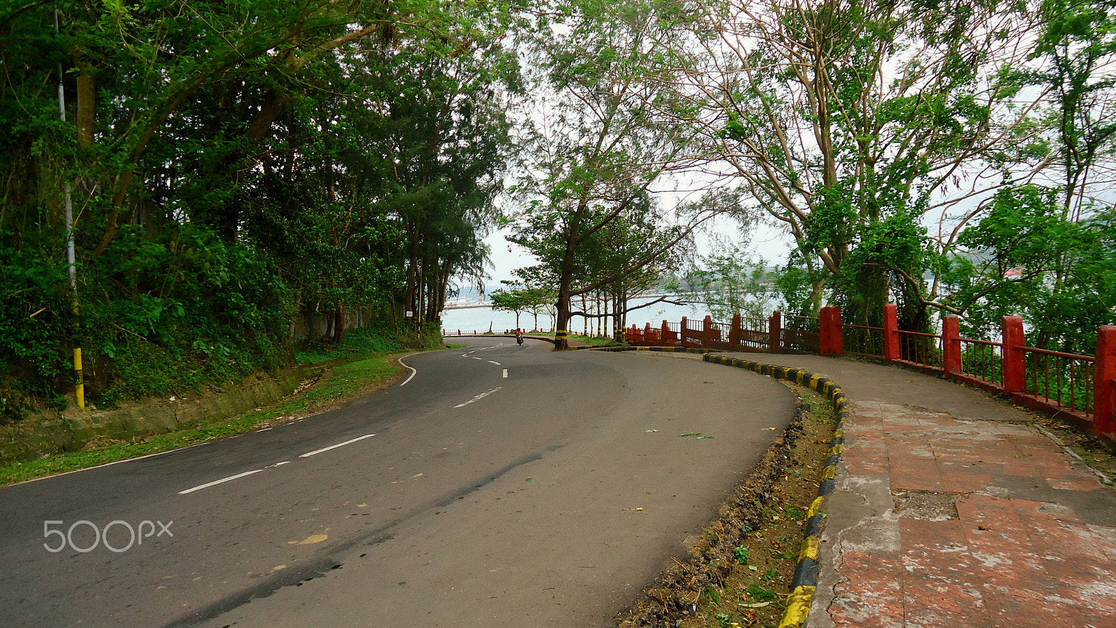 Sony Cyber-shot DSC-W530 sample photo. Winding road port blair photography