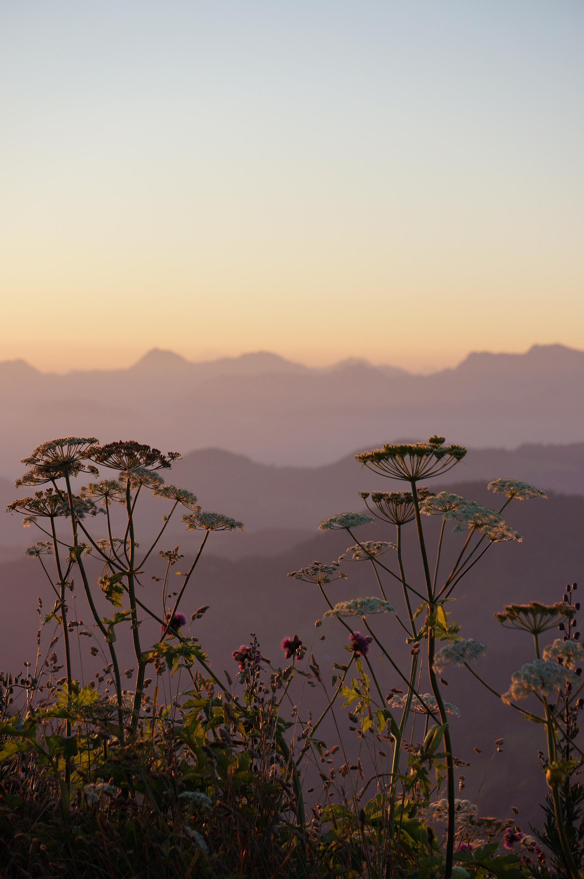 Sony Alpha NEX-7 + Sony FE 24-240mm F3.5-6.3 OSS sample photo. Sunset  photography