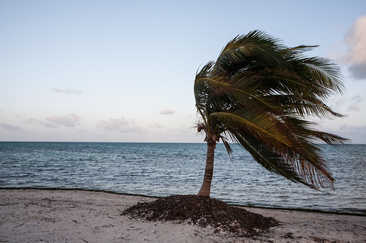 Canon EOS 5D sample photo. Shaken - st. georges caye belize   andrea gracis photography portfolio: http://ift.tt/2oramtb... photography