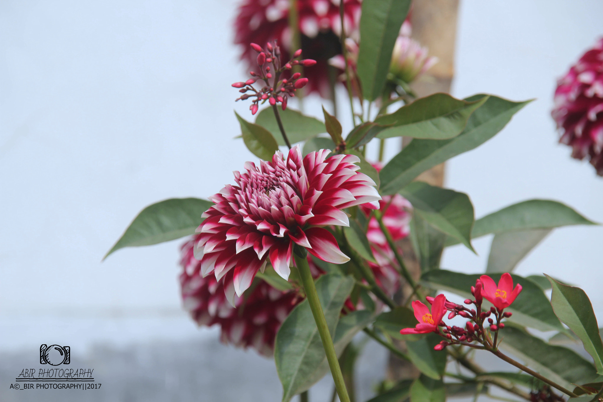 Sigma 18-200mm f/3.5-6.3 DC OS sample photo