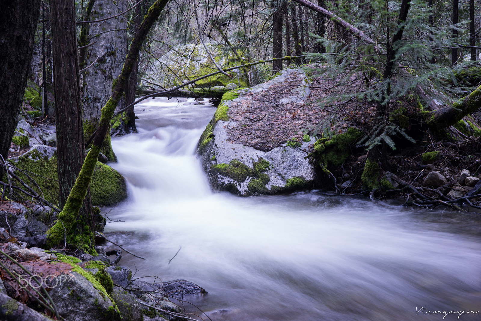 Sony a7R sample photo. Yosemite mirror lake trail photography