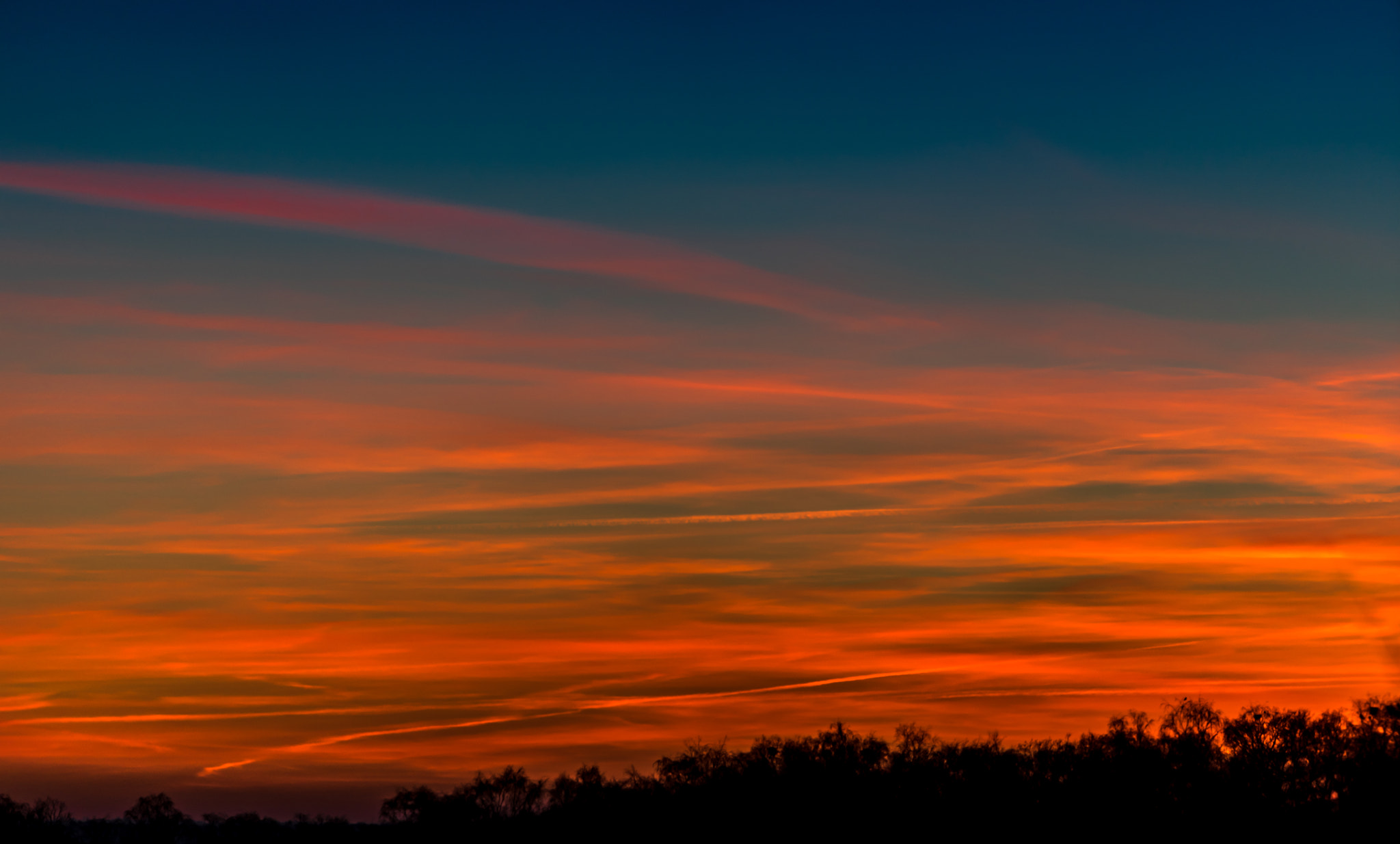 Sony a7 + Sony FE 70-200mm F4 G OSS sample photo. Burning down... photography