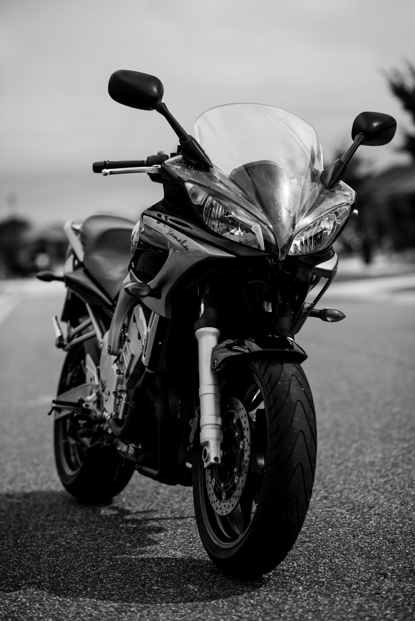 Nikon AF-S Nikkor 85mm F1.8G sample photo. Always posing - yamaha photography