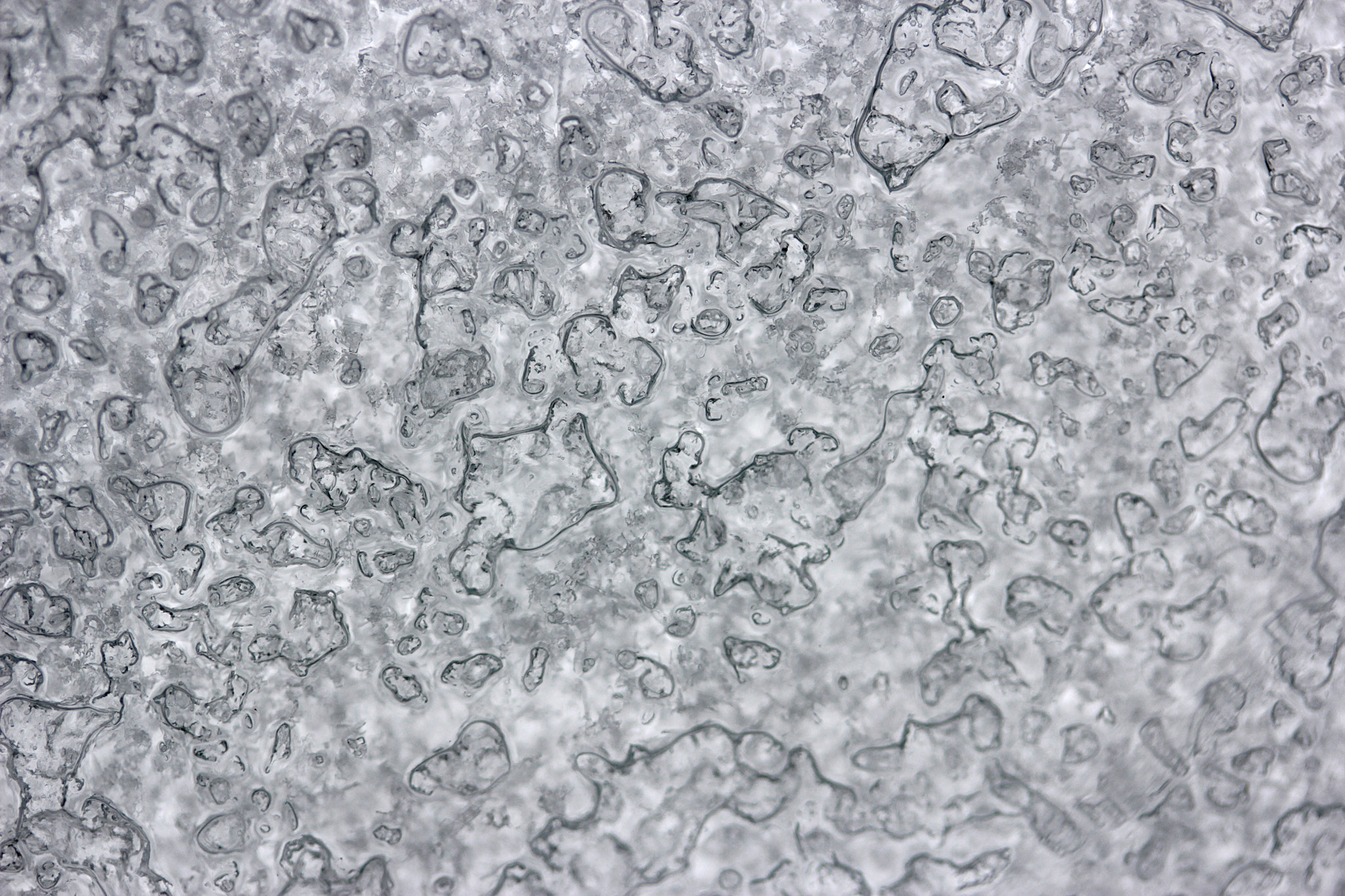 Canon EF-S 60mm F2.8 Macro USM sample photo. Ice photography