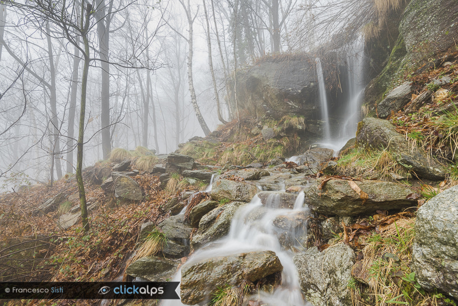 Nikon AF-S Nikkor 16-35mm F4G ED VR sample photo. Only one sound in the fog... (valchiusella) photography
