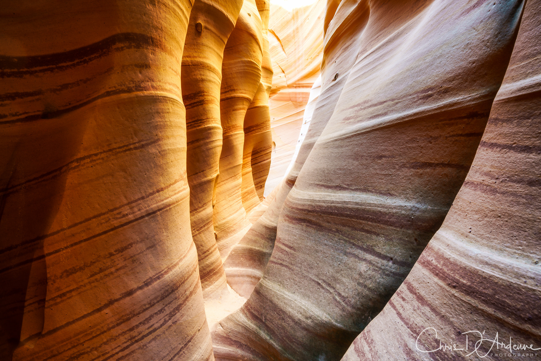 Sony a7R II sample photo. Zebra canyon photography