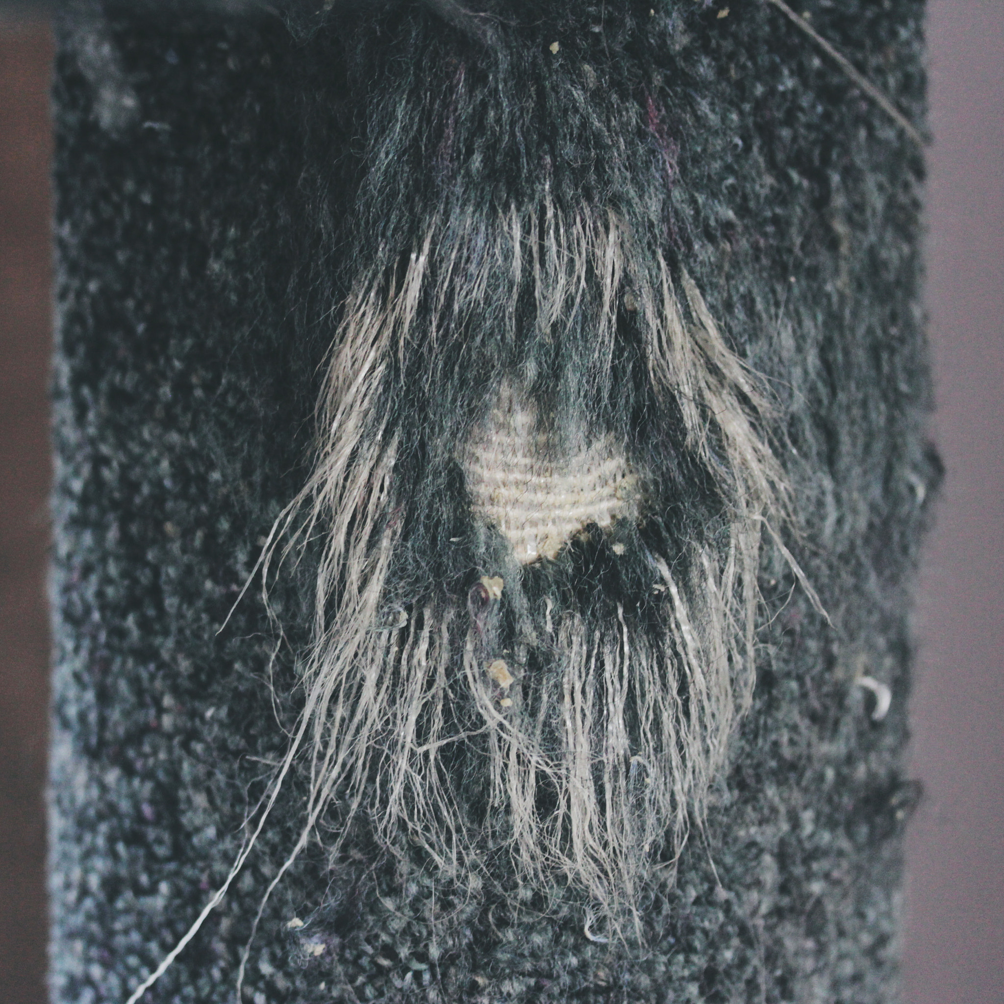 Canon EF-S 60mm F2.8 Macro USM sample photo. Frayed heart photography