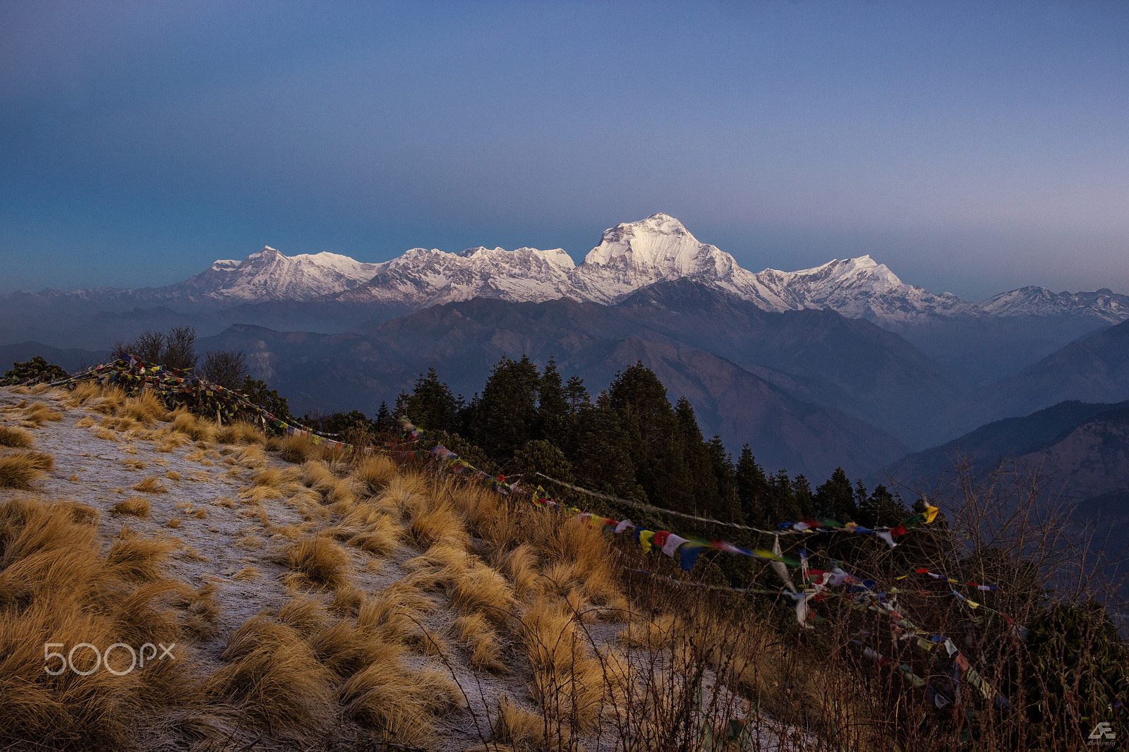 Canon EOS 600D (Rebel EOS T3i / EOS Kiss X5) + Sigma 18-200mm f/3.5-6.3 DC OS HSM [II] sample photo. Early morning in the himalaya photography