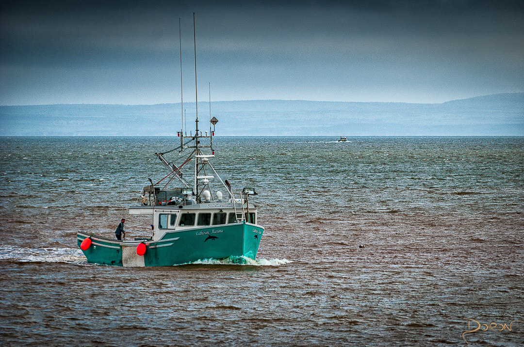Nikon D80 sample photo. Home with the catch of the day photography