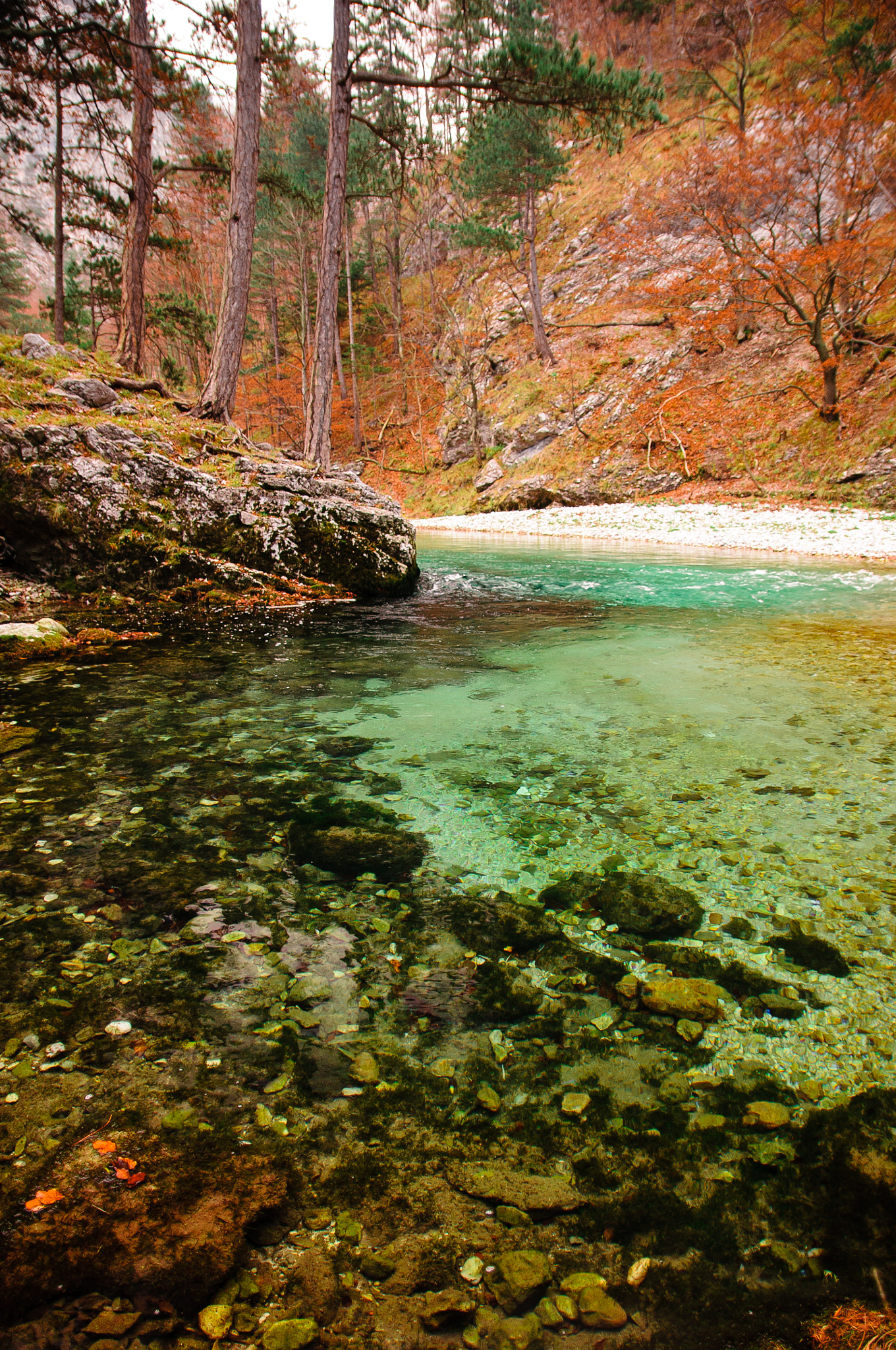 Nikon D300 sample photo. Austrian river photography