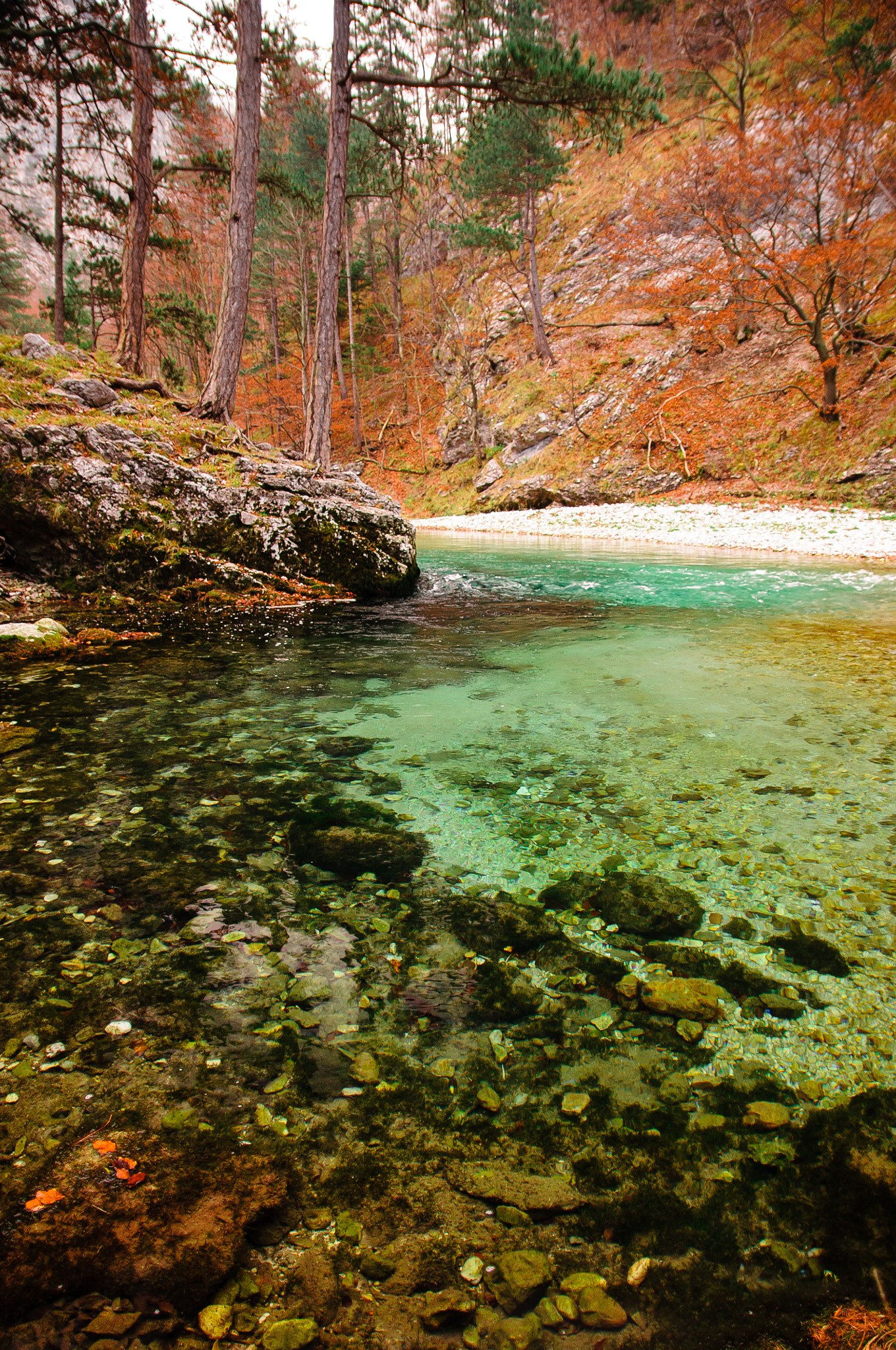 Nikon D300 + Sigma 17-50mm F2.8 EX DC OS HSM sample photo. Austrian river photography