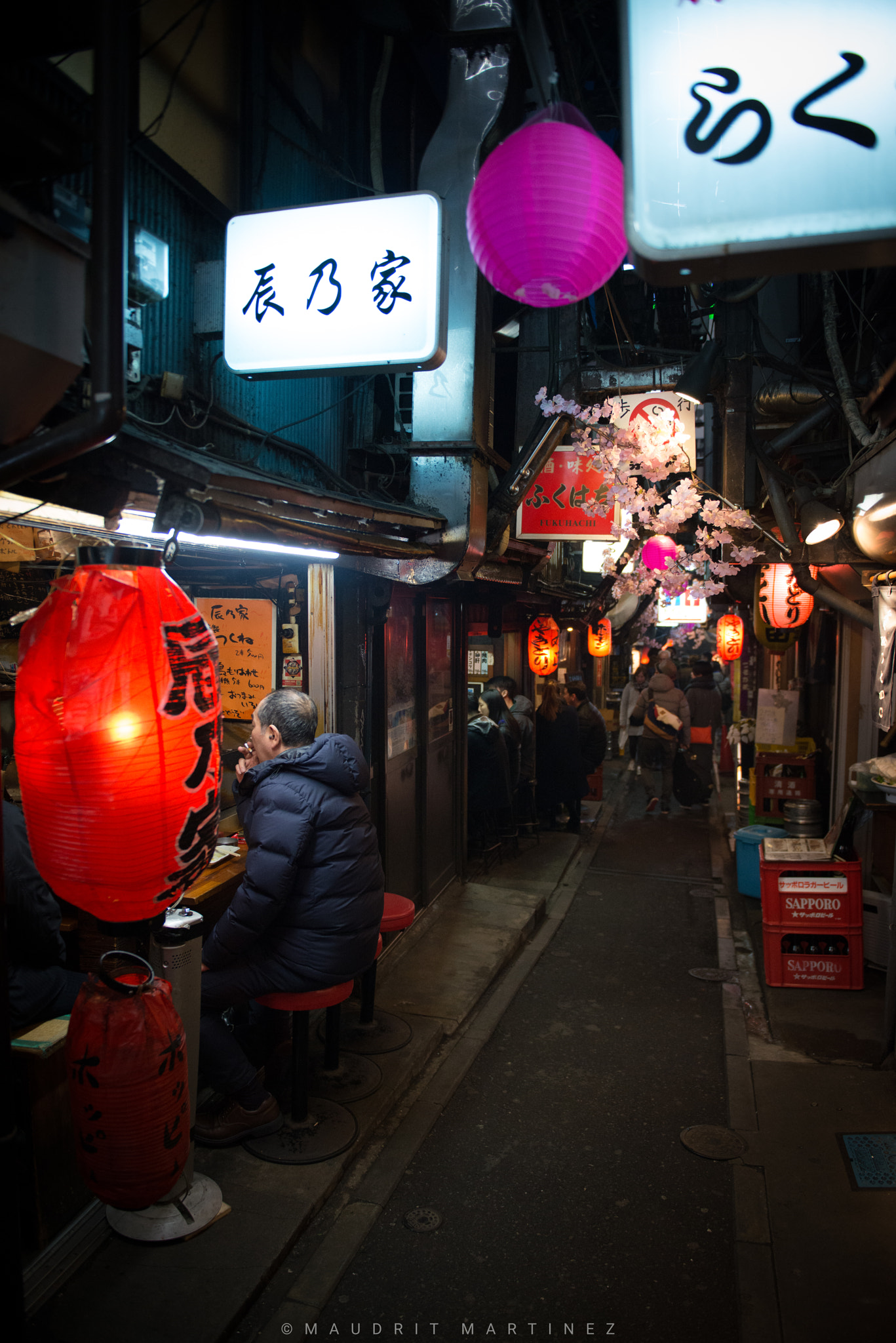 Nikon AF-S Nikkor 24-70mm F2.8G ED sample photo. Golden gai photography
