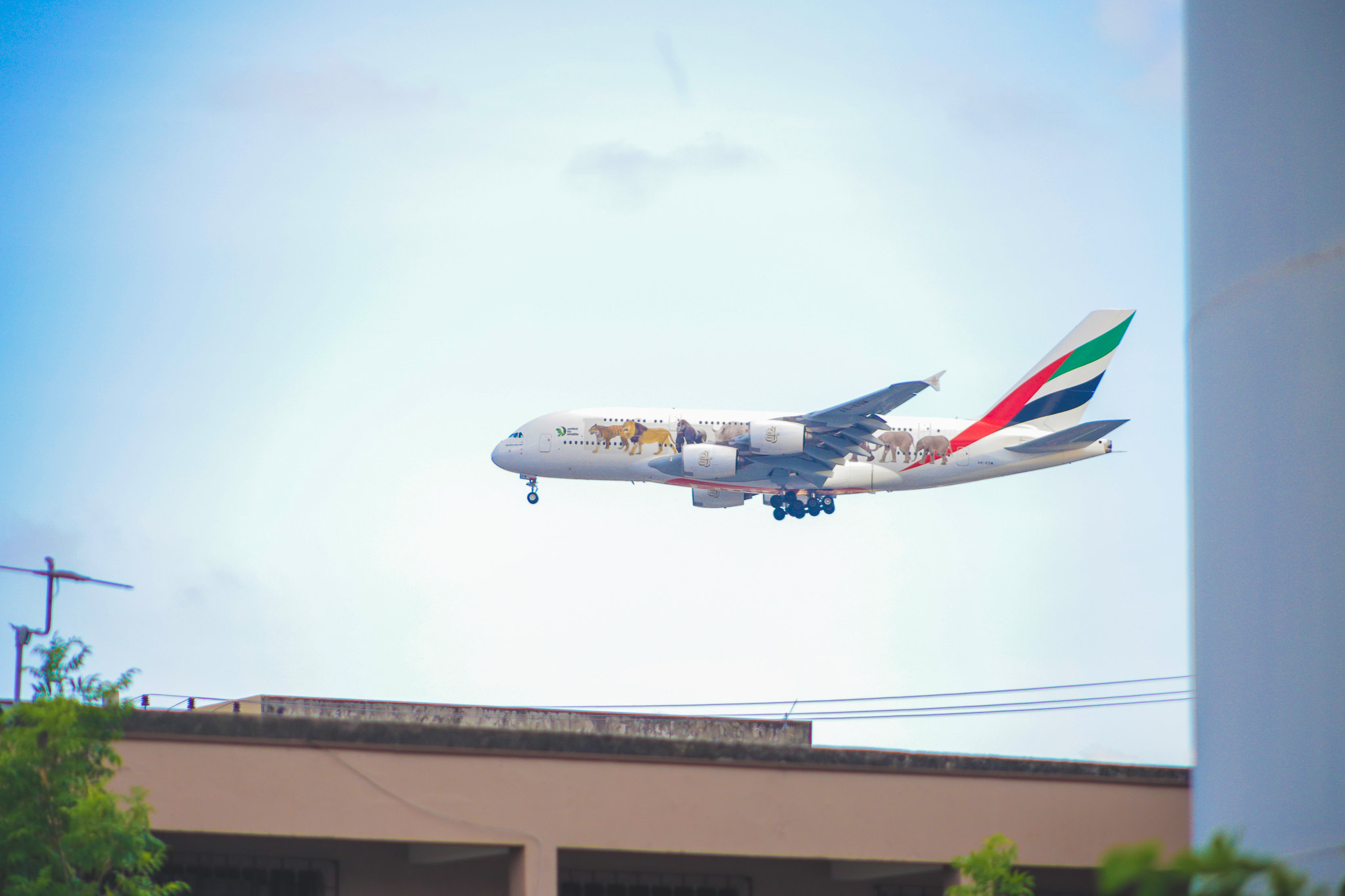 Canon EF 75-300mm f/4-5.6 USM sample photo. A380 - emirates photography