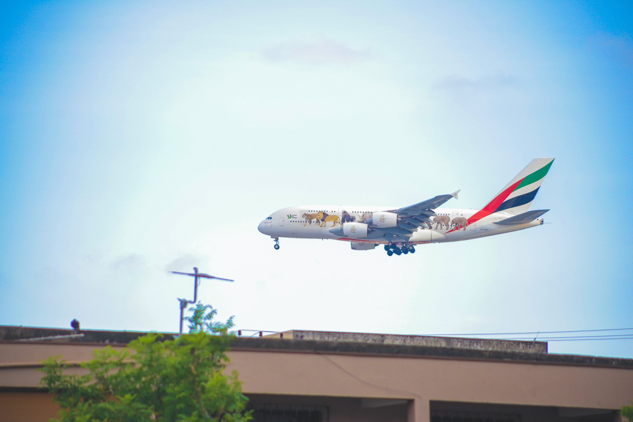 Canon EF 75-300mm f/4-5.6 USM sample photo. A380 - emirates photography