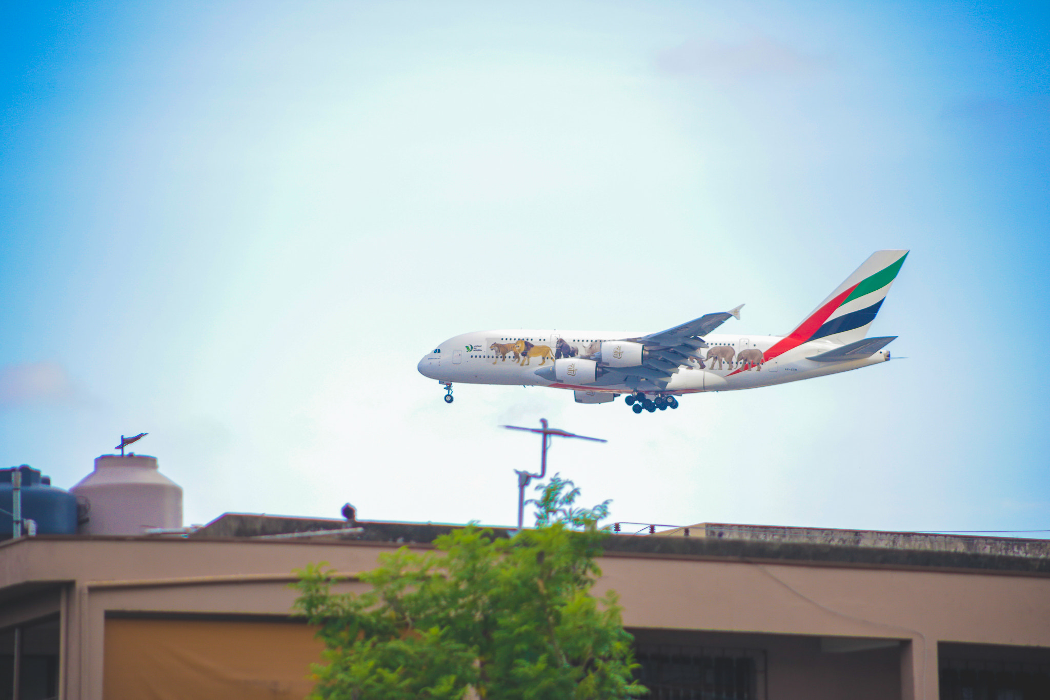 Canon EF 75-300mm f/4-5.6 USM sample photo. A380 - emirates photography