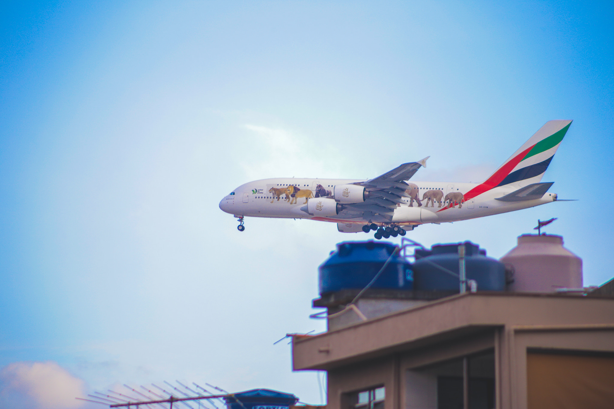 Canon EF 75-300mm f/4-5.6 USM sample photo. A380 - emirates photography