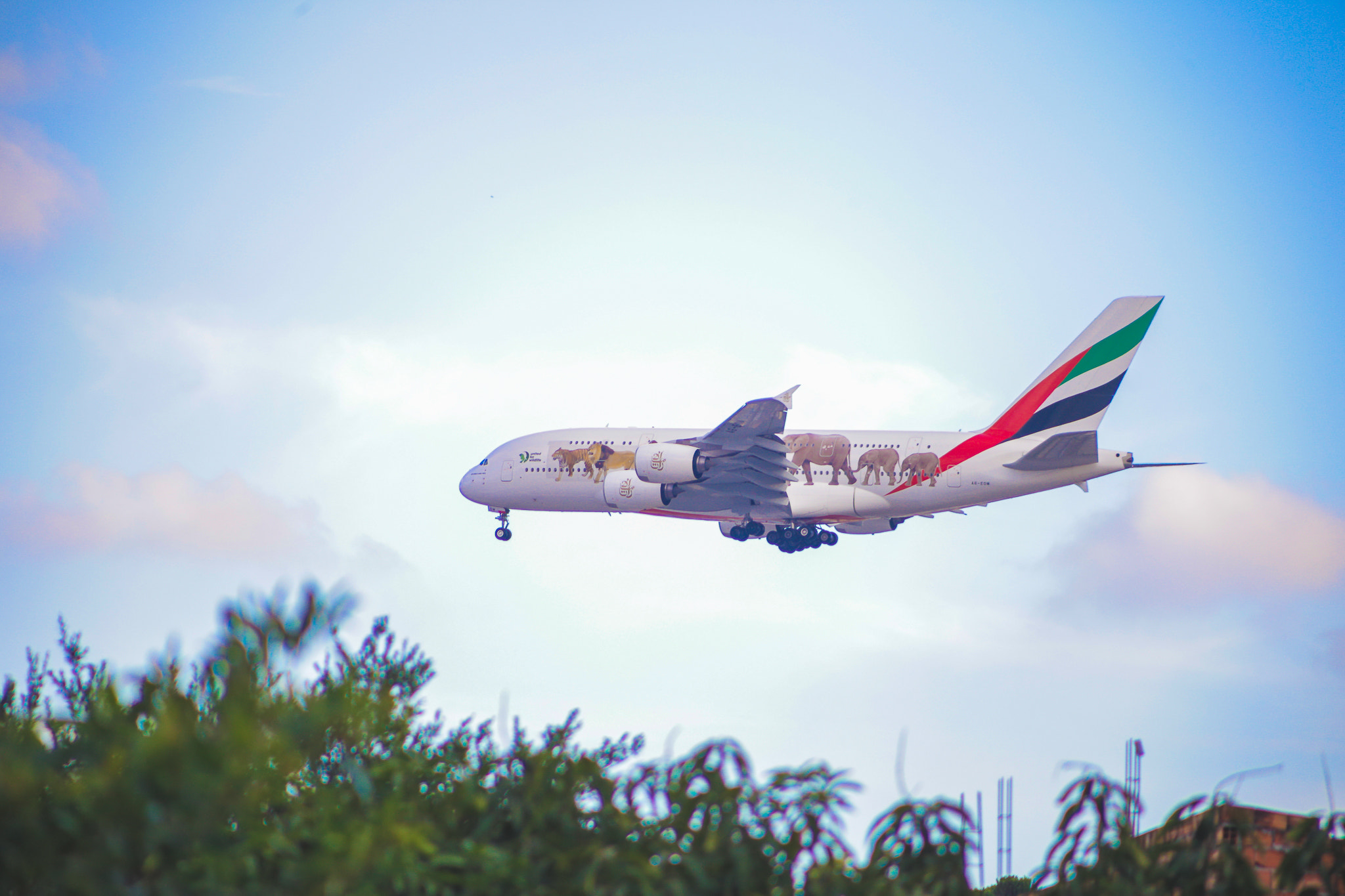 Canon EF 75-300mm f/4-5.6 USM sample photo. A380 - emirates photography