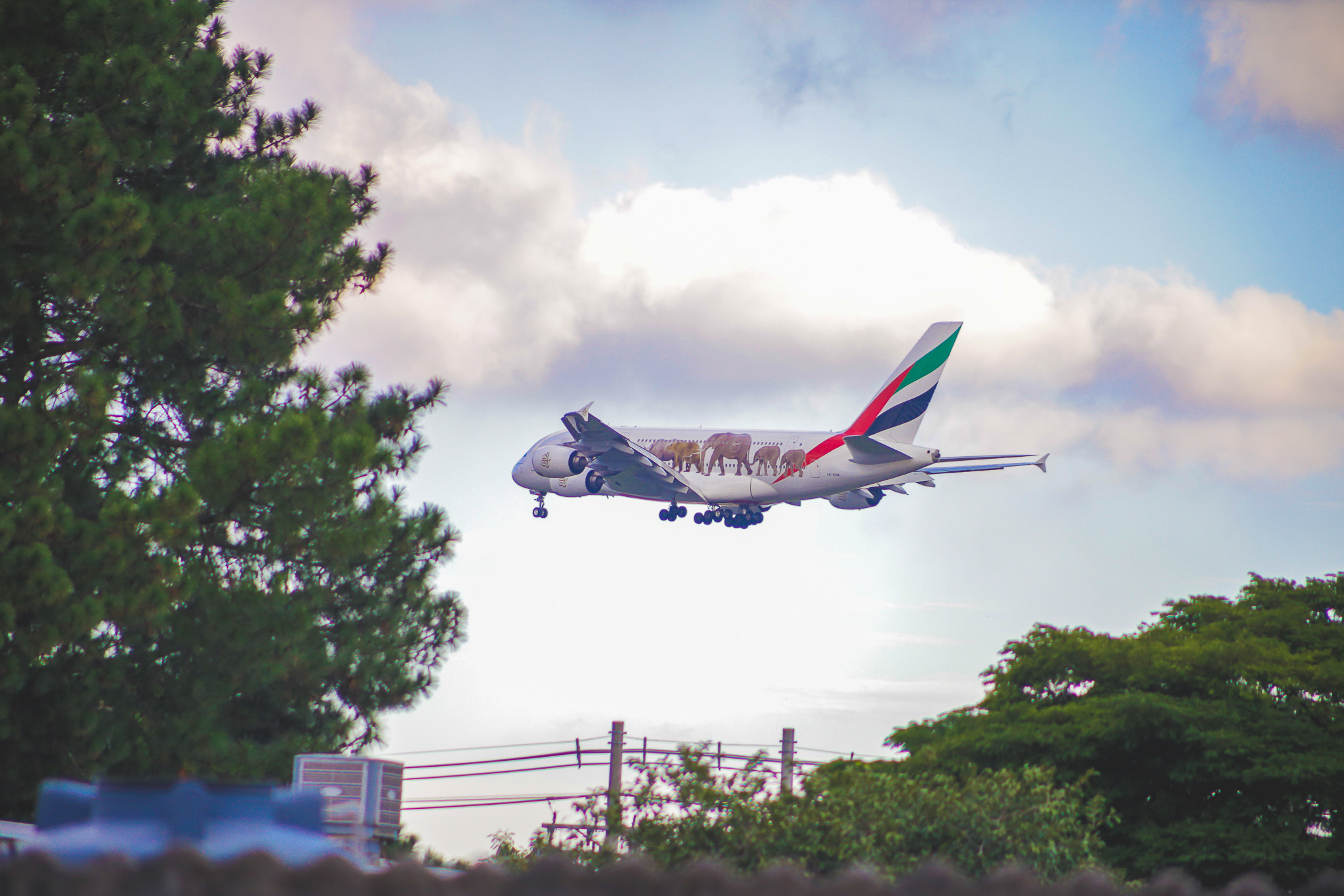 Canon EF 75-300mm f/4-5.6 USM sample photo. A380 - emirates photography