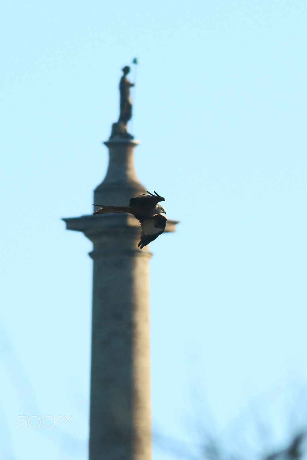 Sigma 150-500mm F5-6.3 DG OS HSM sample photo. Liberty kite photography