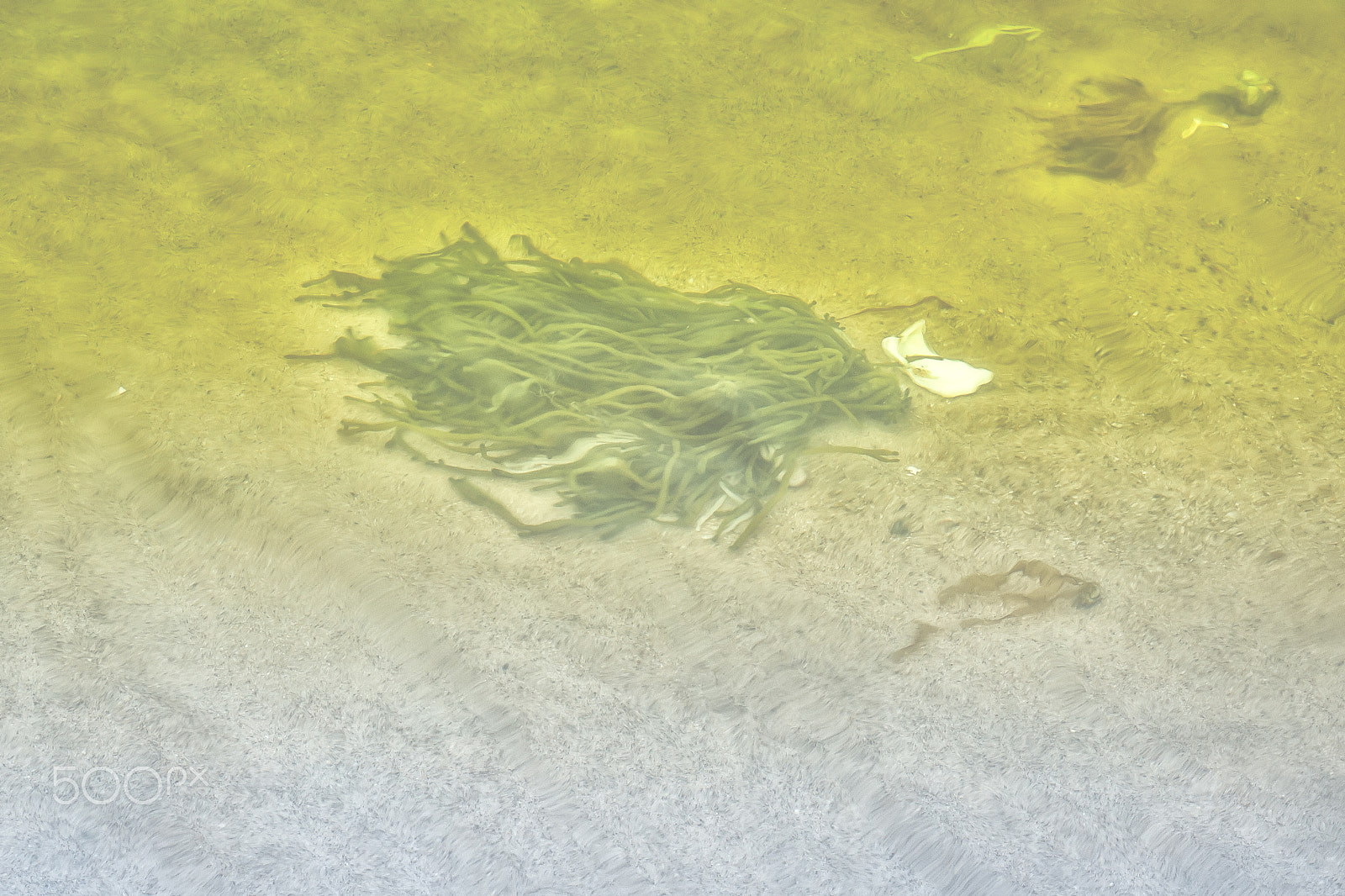Canon EF 16-35mm F4L IS USM sample photo. Under the water's surface photography