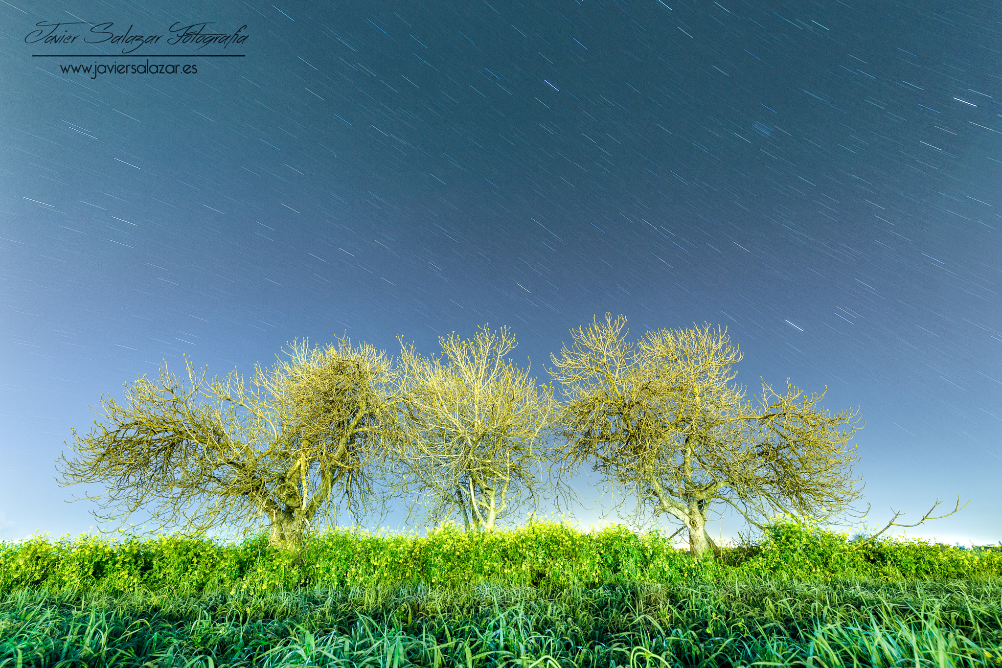 Canon EOS 6D + Canon EF 300mm f/2.8L sample photo. 3 brothers photography