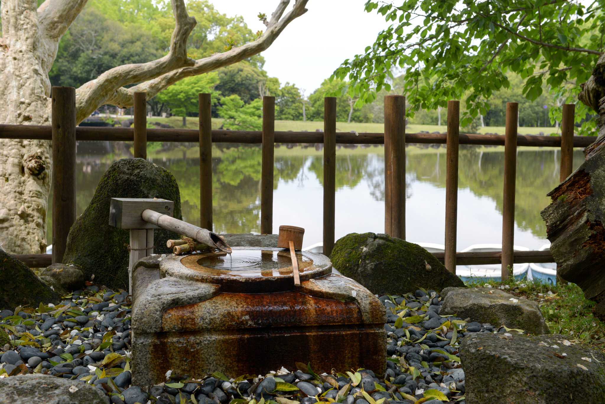Nikon AF-S Nikkor 24-70mm F2.8G ED sample photo. Pause photography