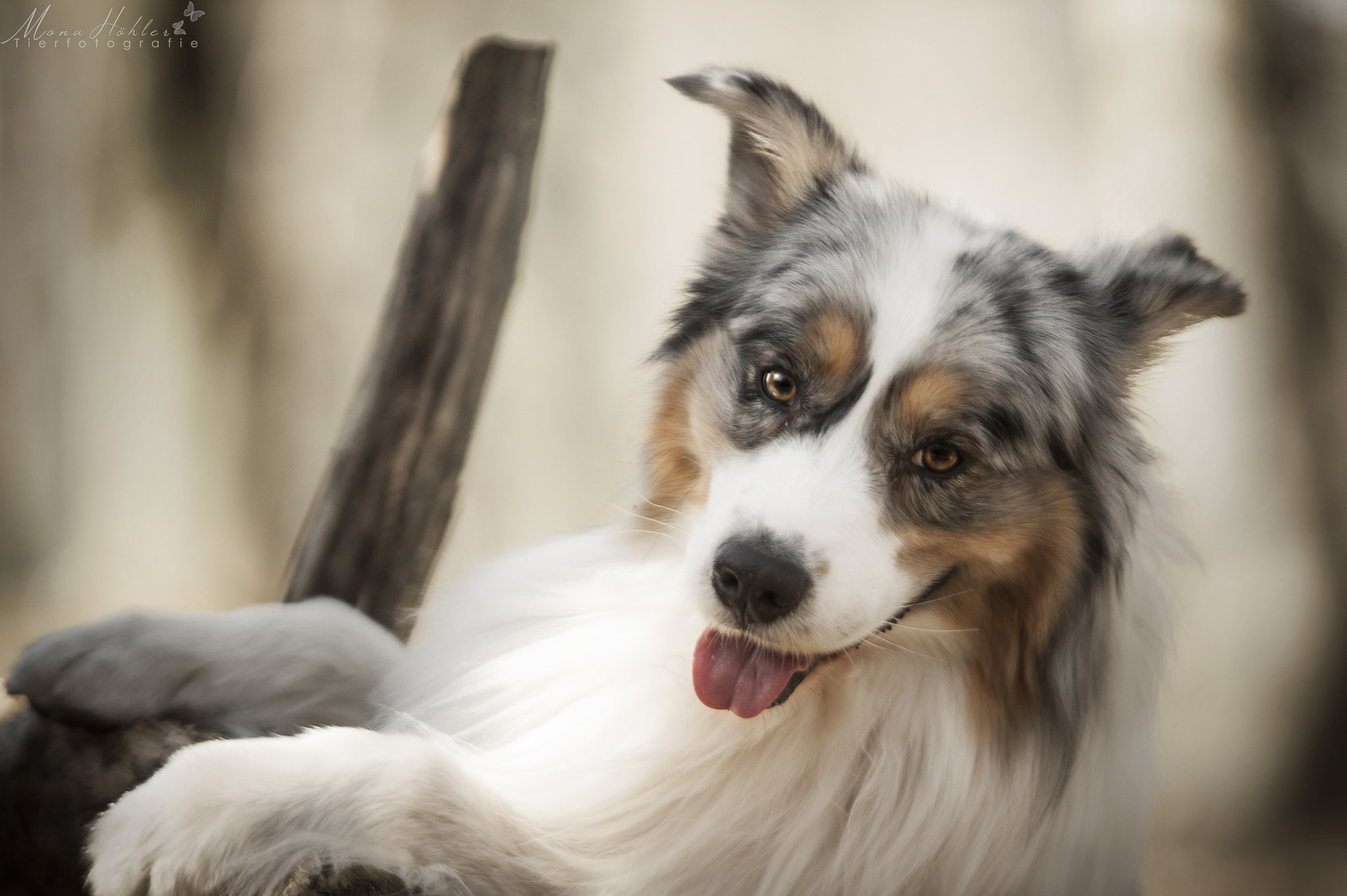Nikon AF Nikkor 180mm F2.8D ED-IF sample photo. Sammy photography