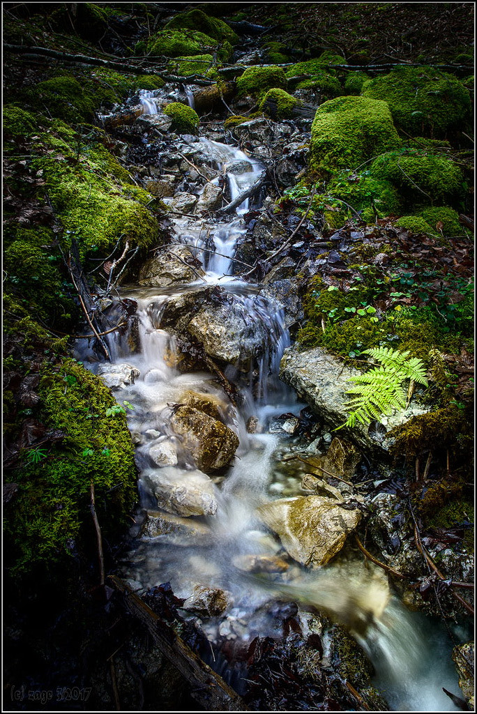 Nikon AF-S Nikkor 24-120mm F4G ED VR sample photo. Wasserlauf eibsee photography