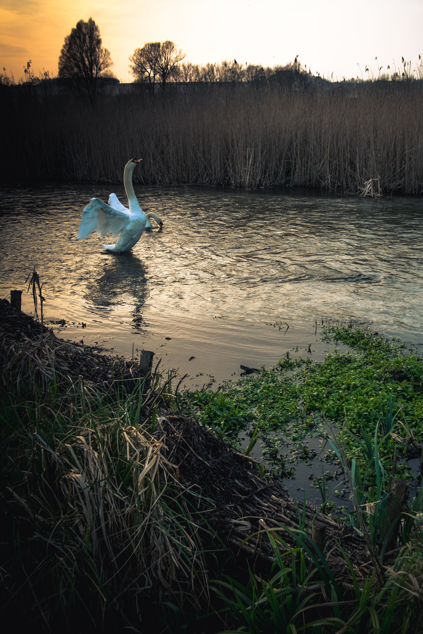 Fujifilm X-Pro1 + Fujifilm XF 18mm F2 R sample photo