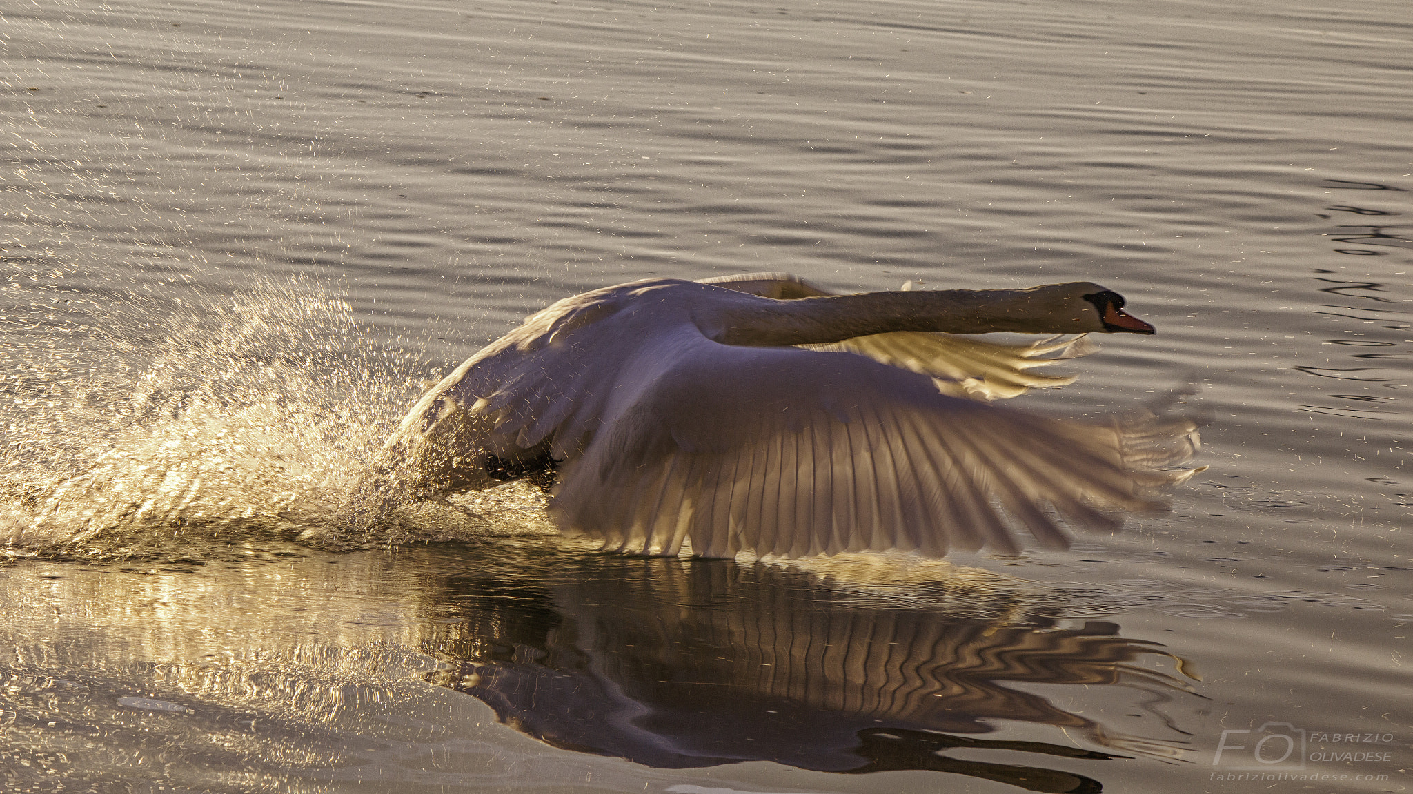 Canon EF-S 55-250mm F4-5.6 IS II sample photo. Take-off photography
