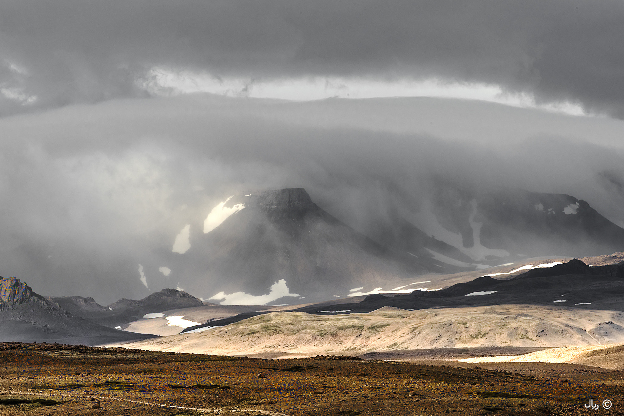 Nikon D810 sample photo. In the grip of fog and sun photography