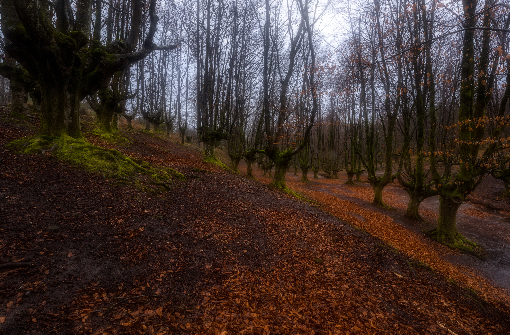 Tamron SP 15-30mm F2.8 Di VC USD sample photo. Cold otzarreta photography