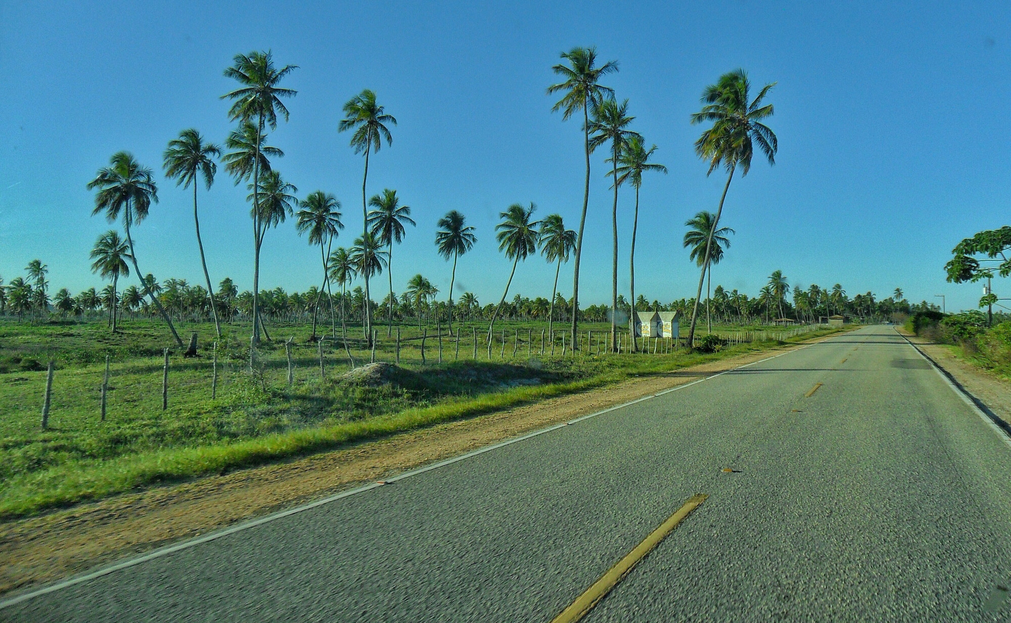 Samsung ES70, ES71 / VLUU ES70, ES71 /  SL600 sample photo. Sunny road photography