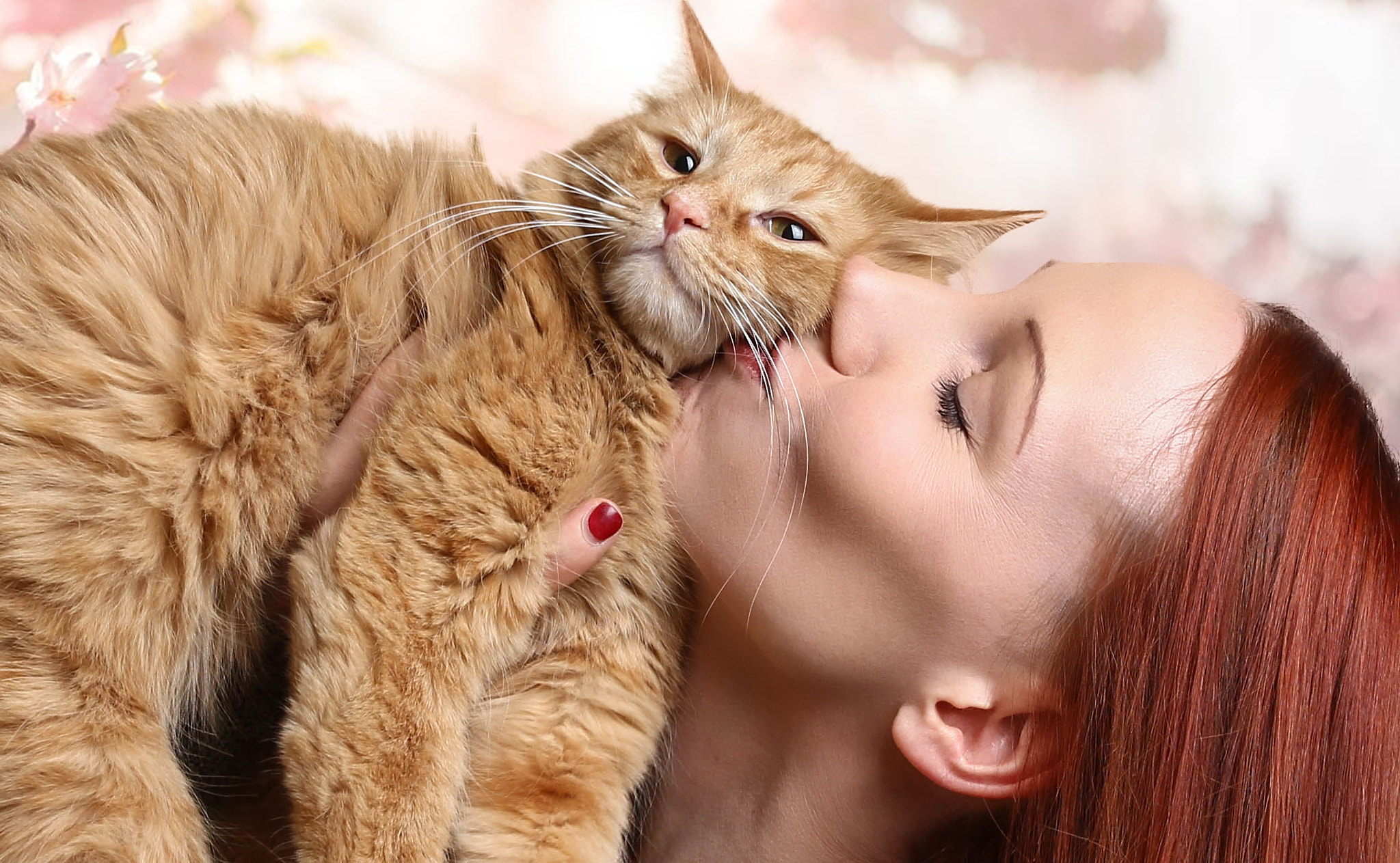 Canon EOS 550D (EOS Rebel T2i / EOS Kiss X4) sample photo. Woman kissing cat photography