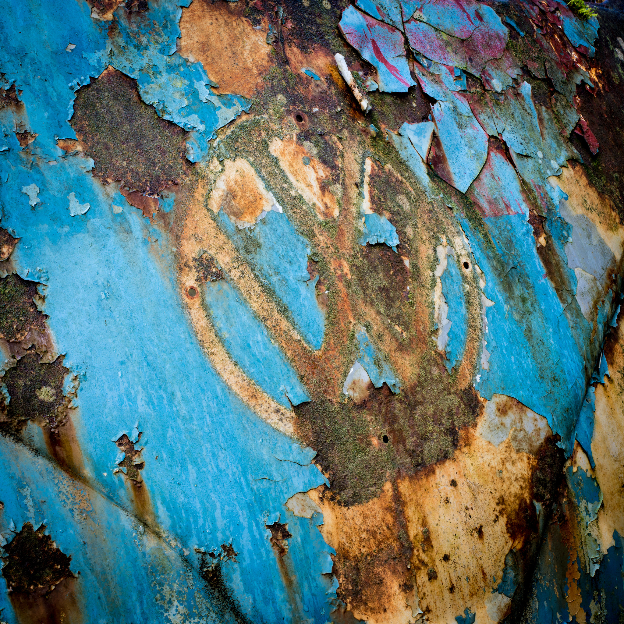 Nikon D800 + Nikon AF-S Nikkor 50mm F1.8G sample photo. Left to rust photography