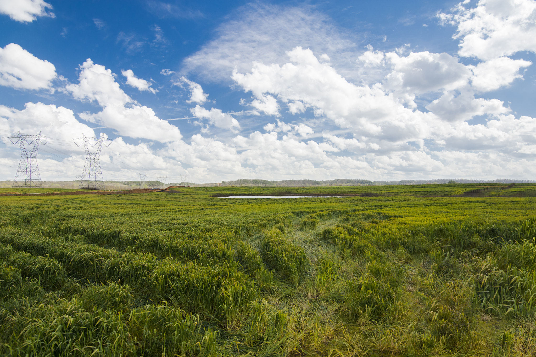 Nikon D7200 sample photo. Farmscape photography