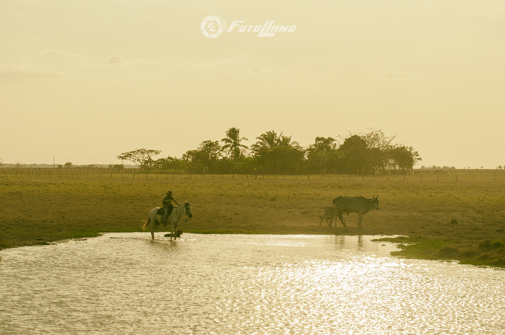 Nikon D90 sample photo. Arrimando el caballo al agua photography