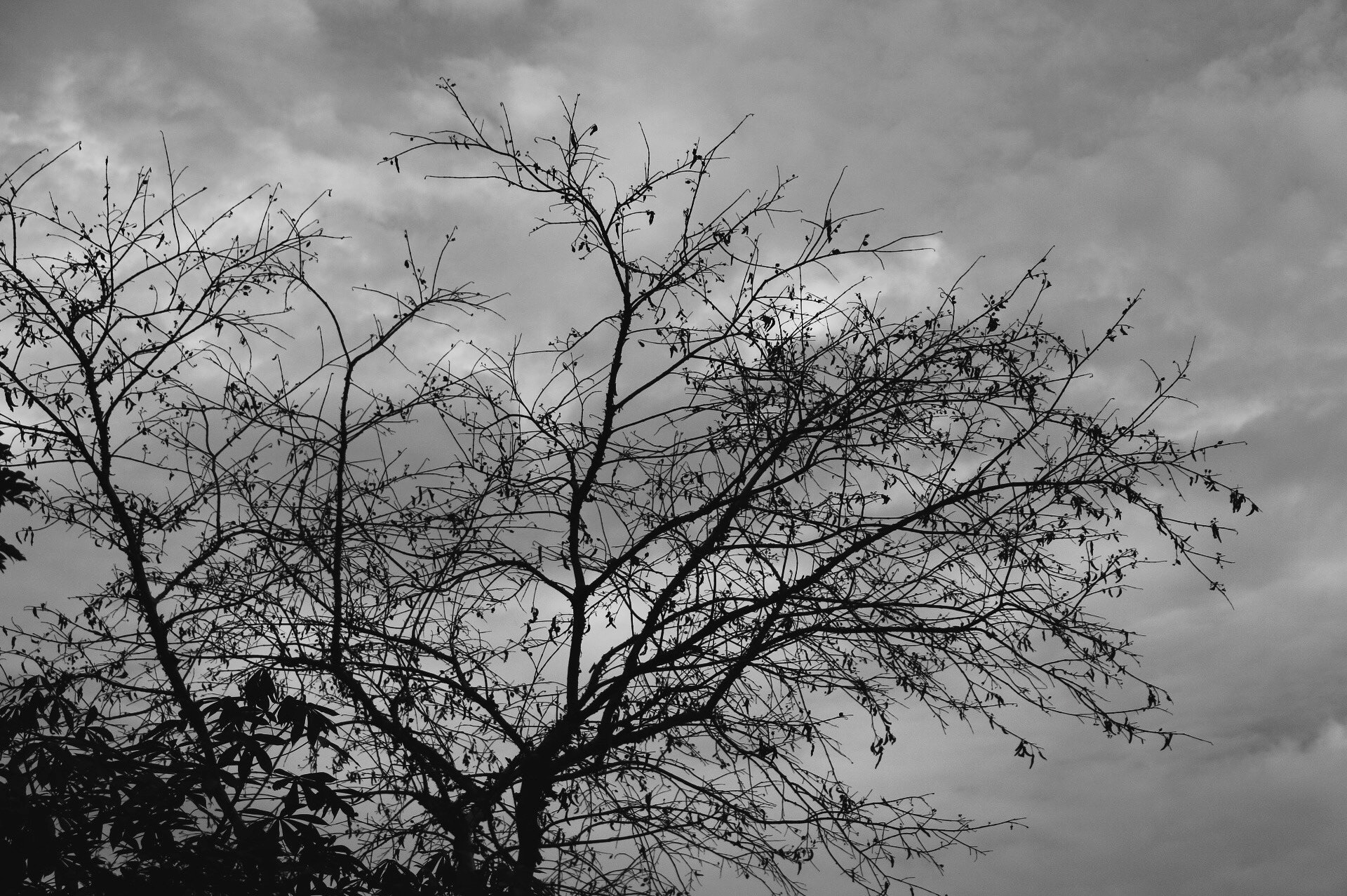 Canon EOS 760D (EOS Rebel T6s / EOS 8000D) sample photo. Into the woods. photography