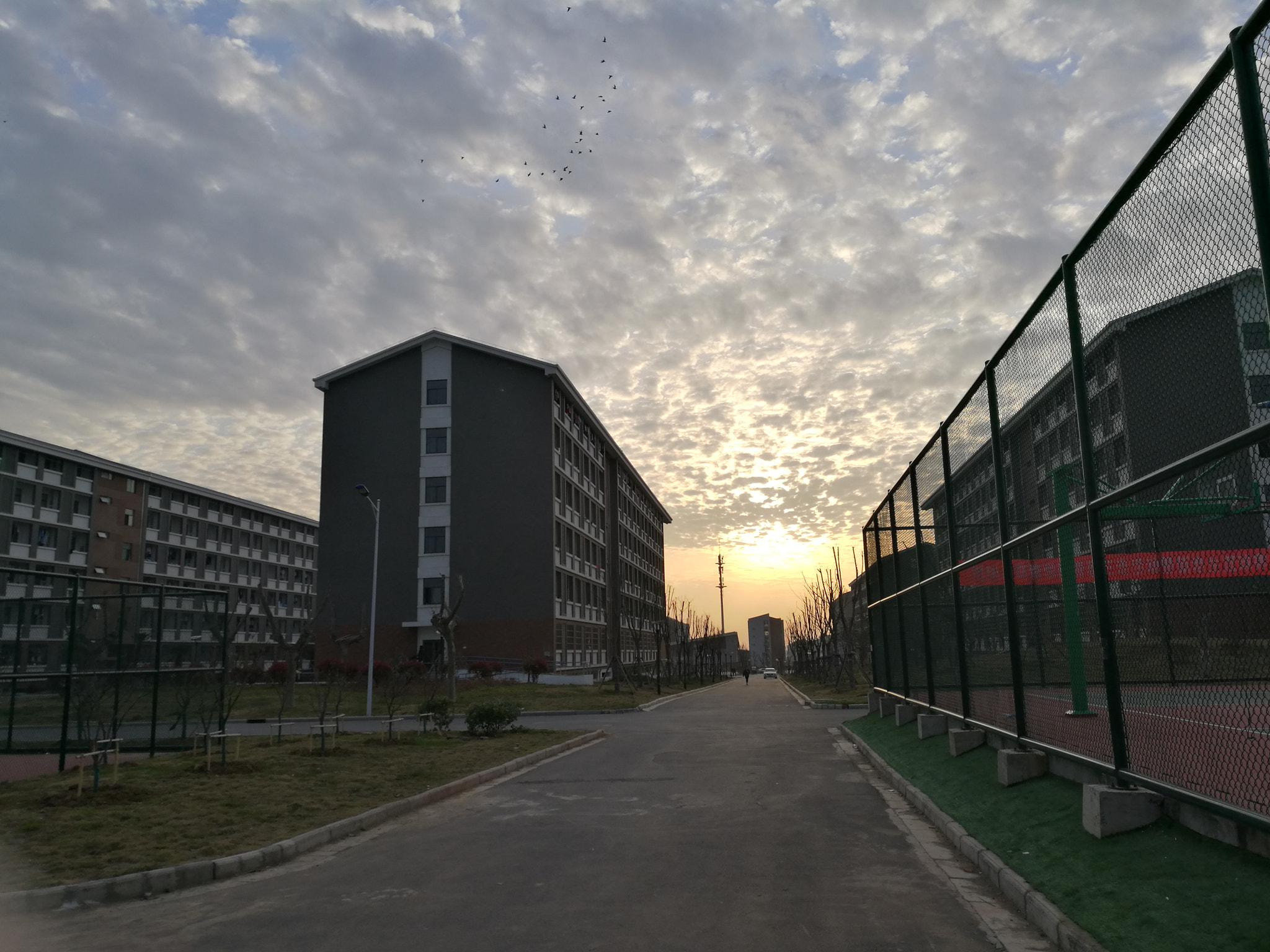 HUAWEI Honor V8 sample photo